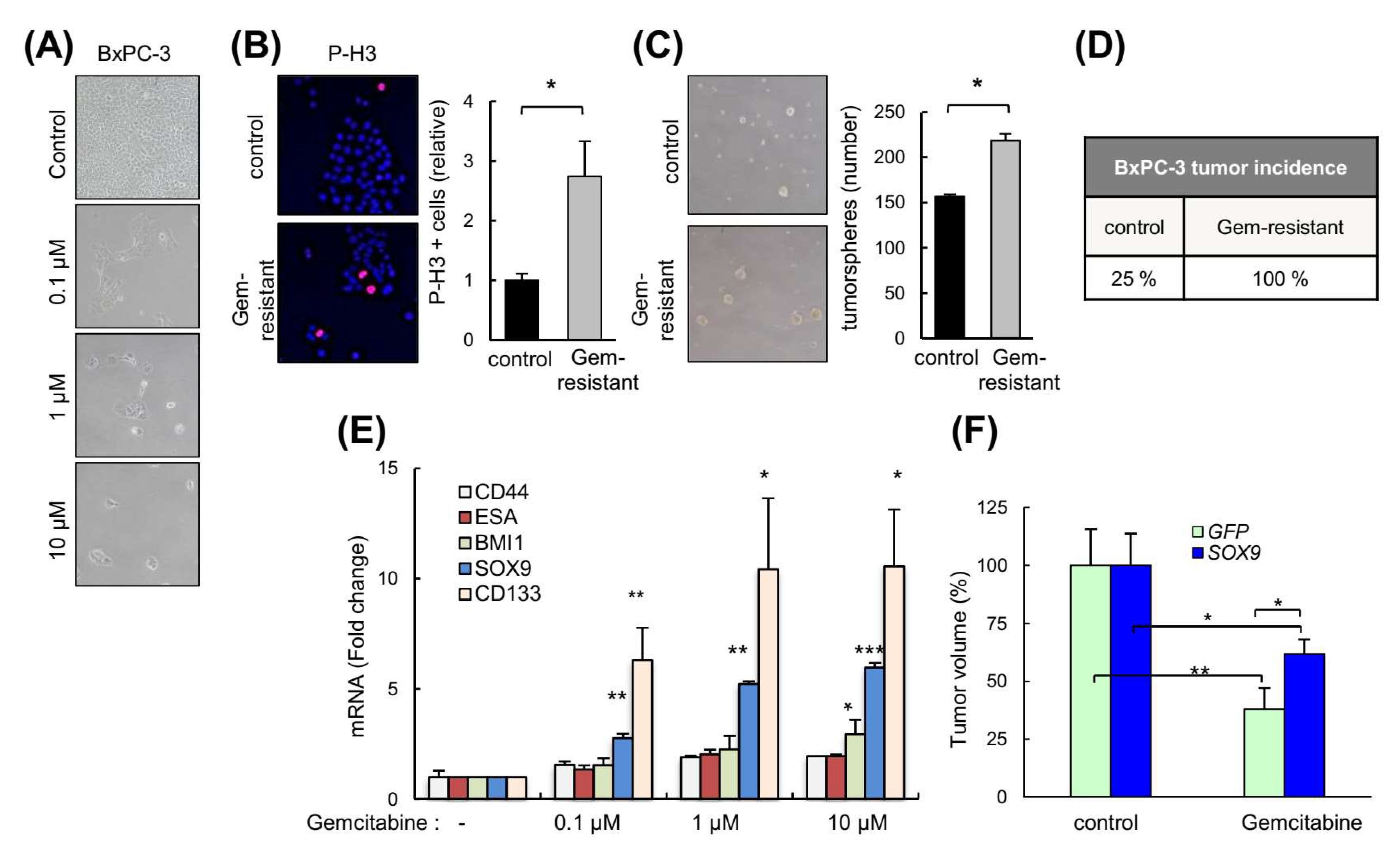 Cancers 14 00916 g007 Cancers 14 00916 g007