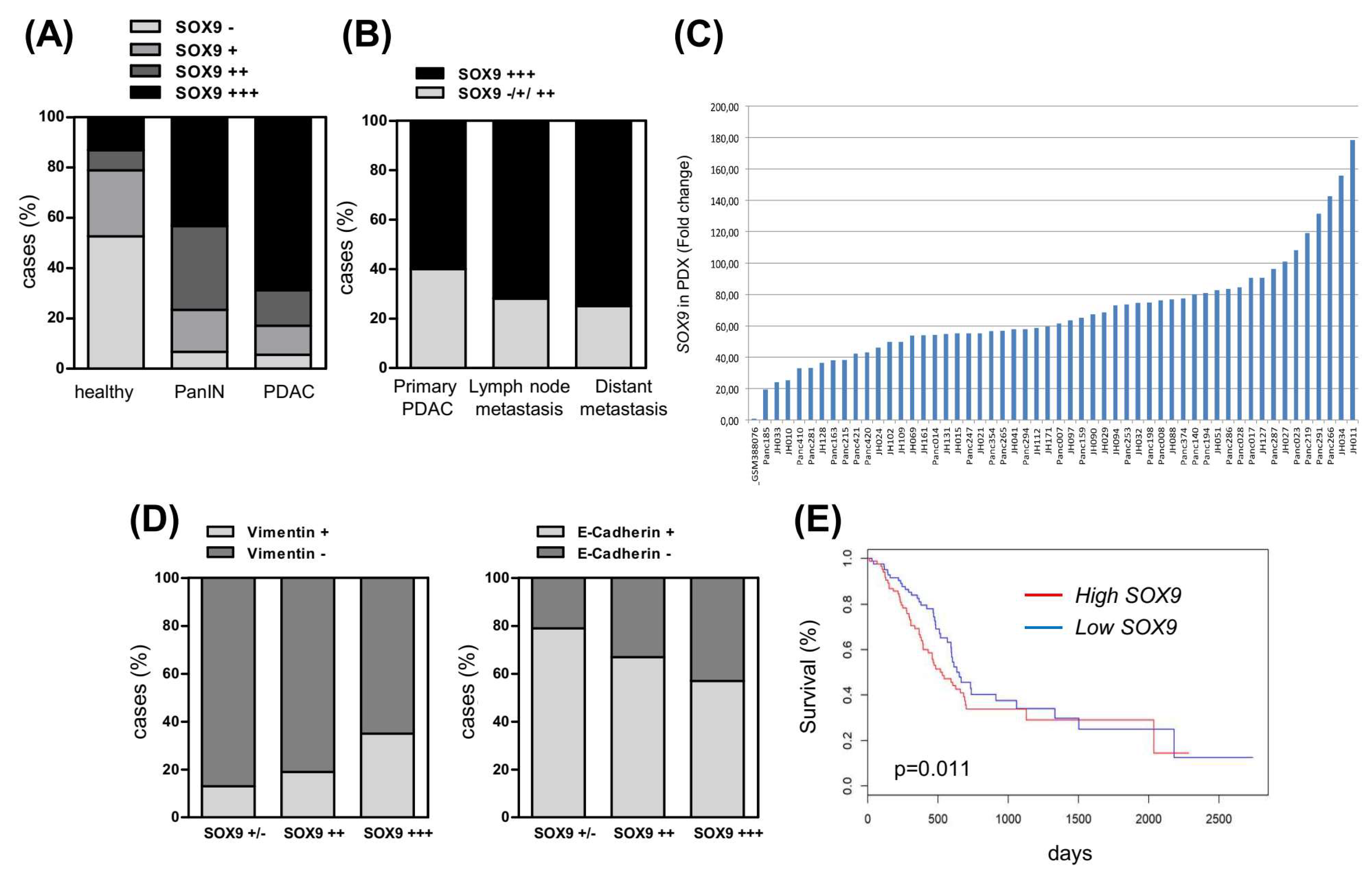 Cancers 14 00916 g008 Cancers 14 00916 g008