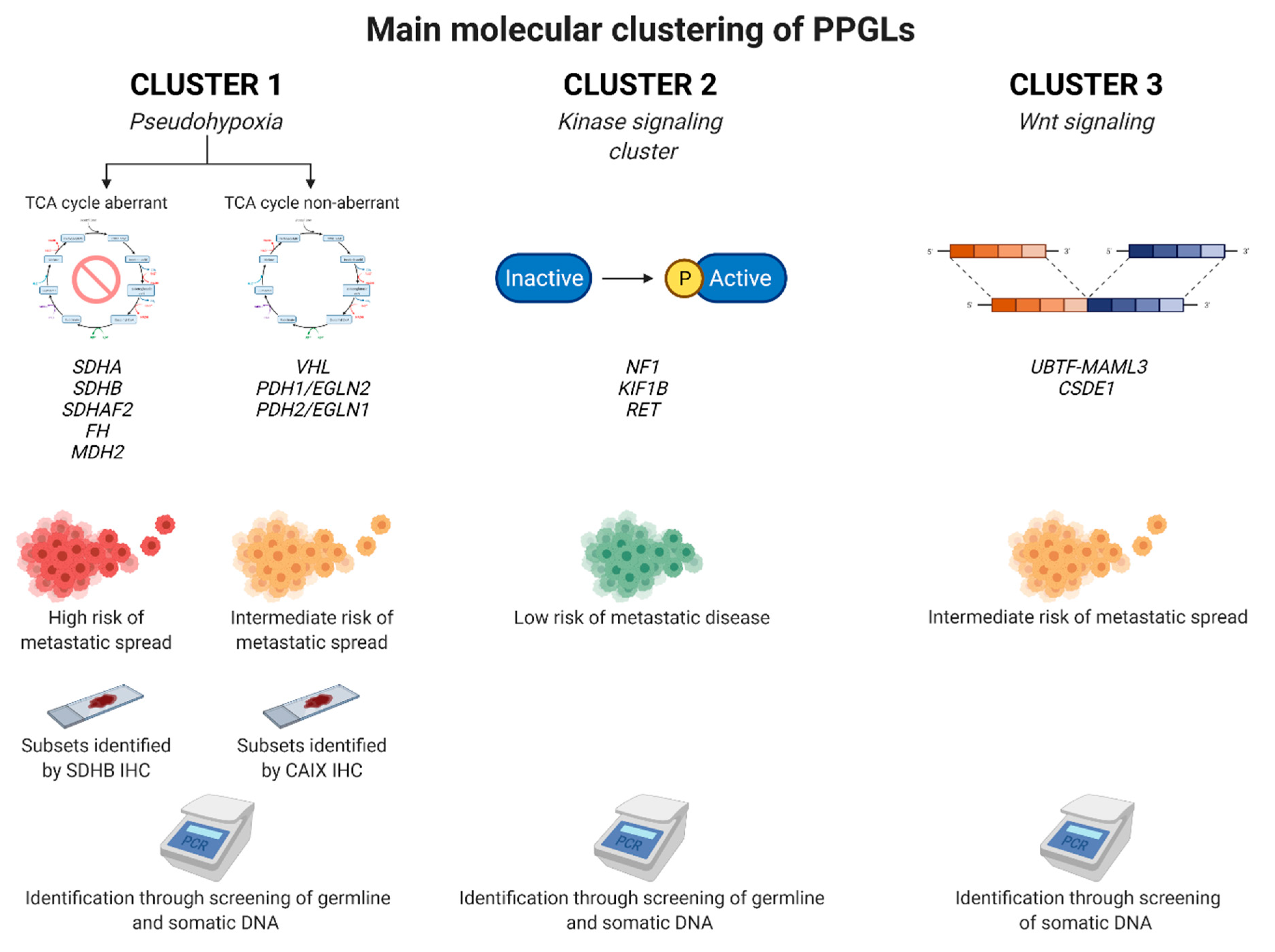 Cancers 14 00917 g004