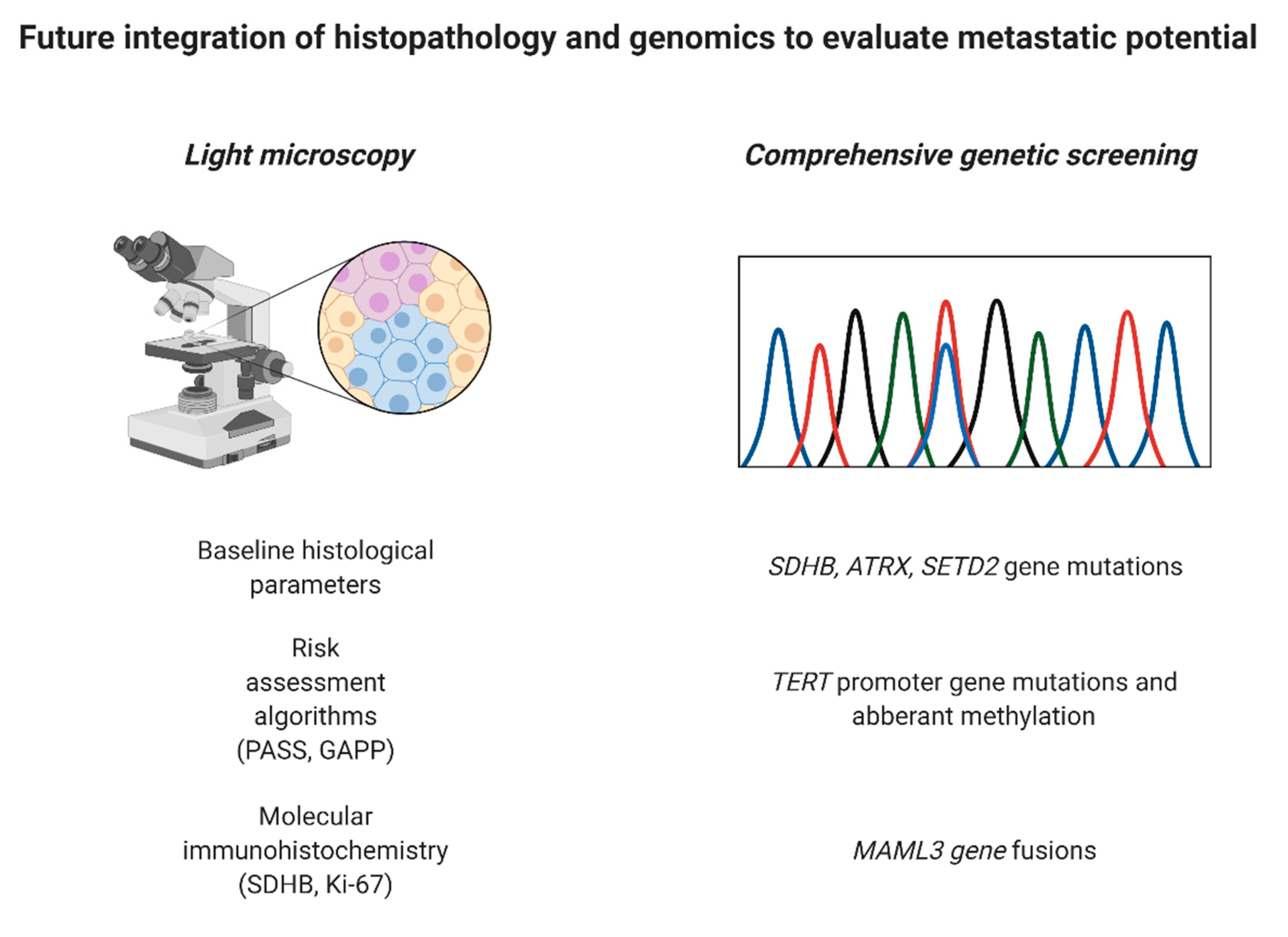 Cancers 14 00917 g005