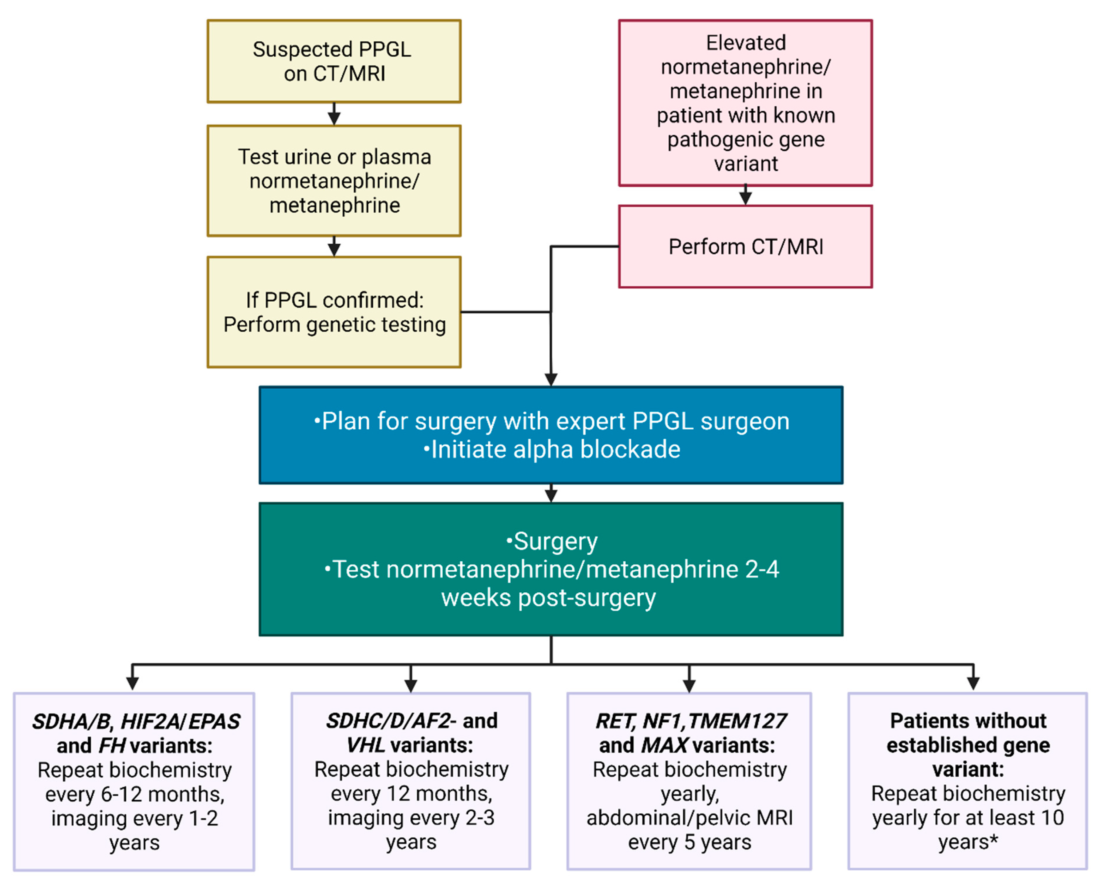 Cancers 14 00917 g006