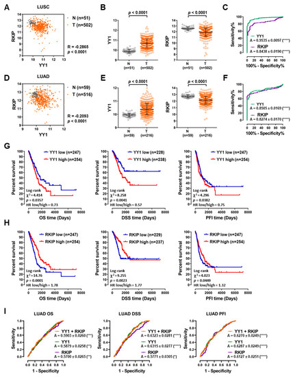 Computational Analyses of YY1 and Its Target RKIP Reveal Their ...