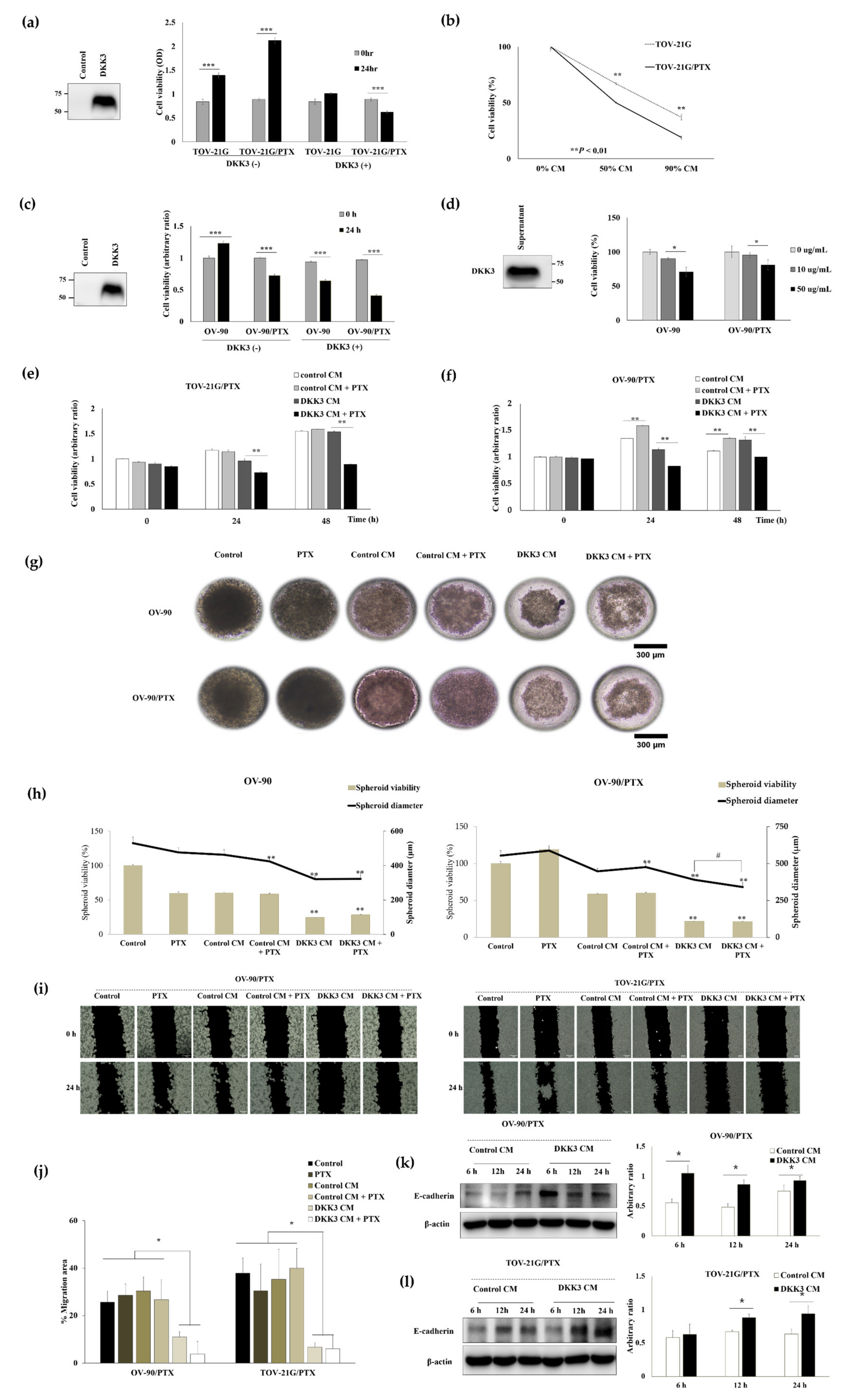 Cancers 14 00924 g003