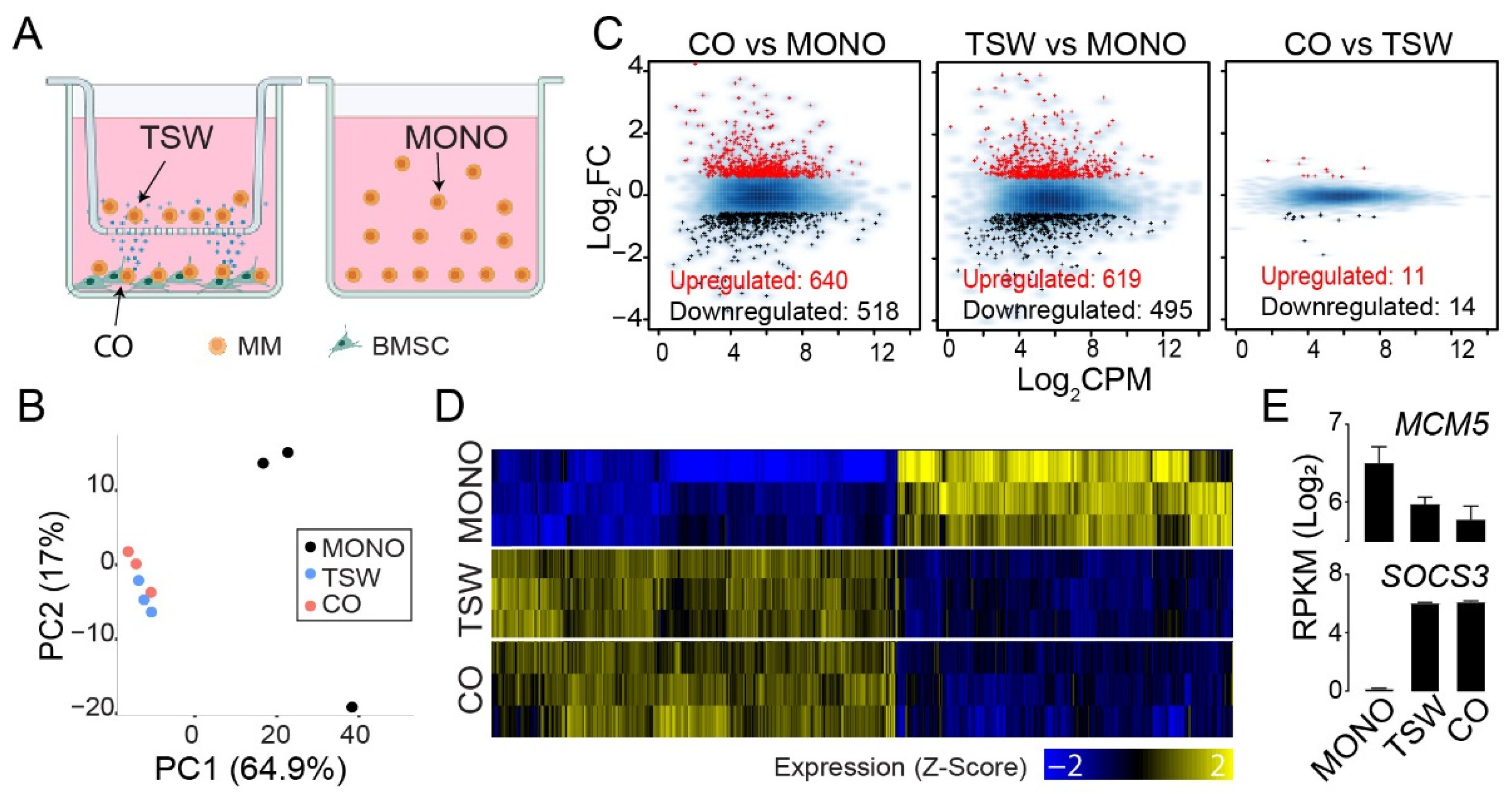 Cancers 14 00927 g001