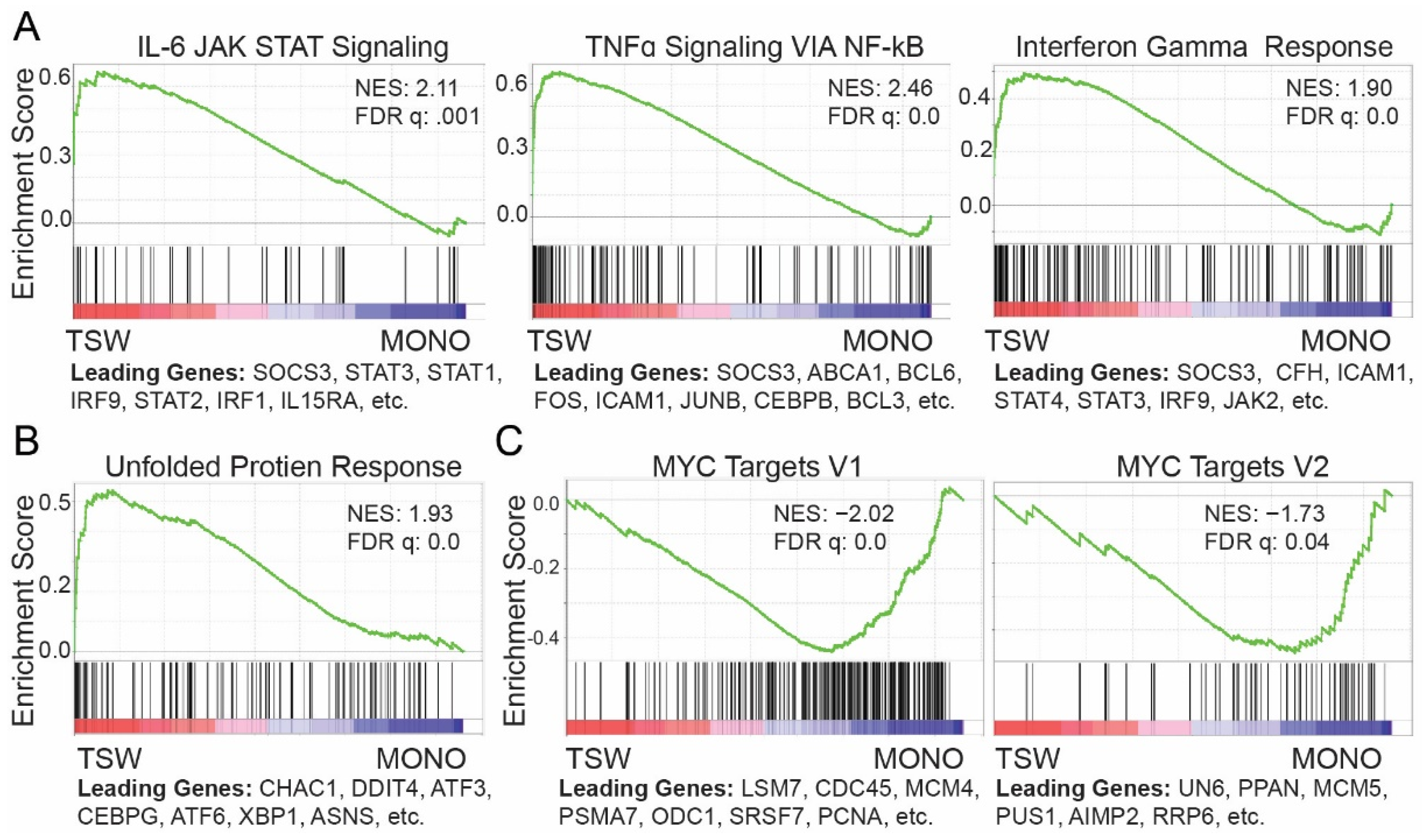 Cancers 14 00927 g002