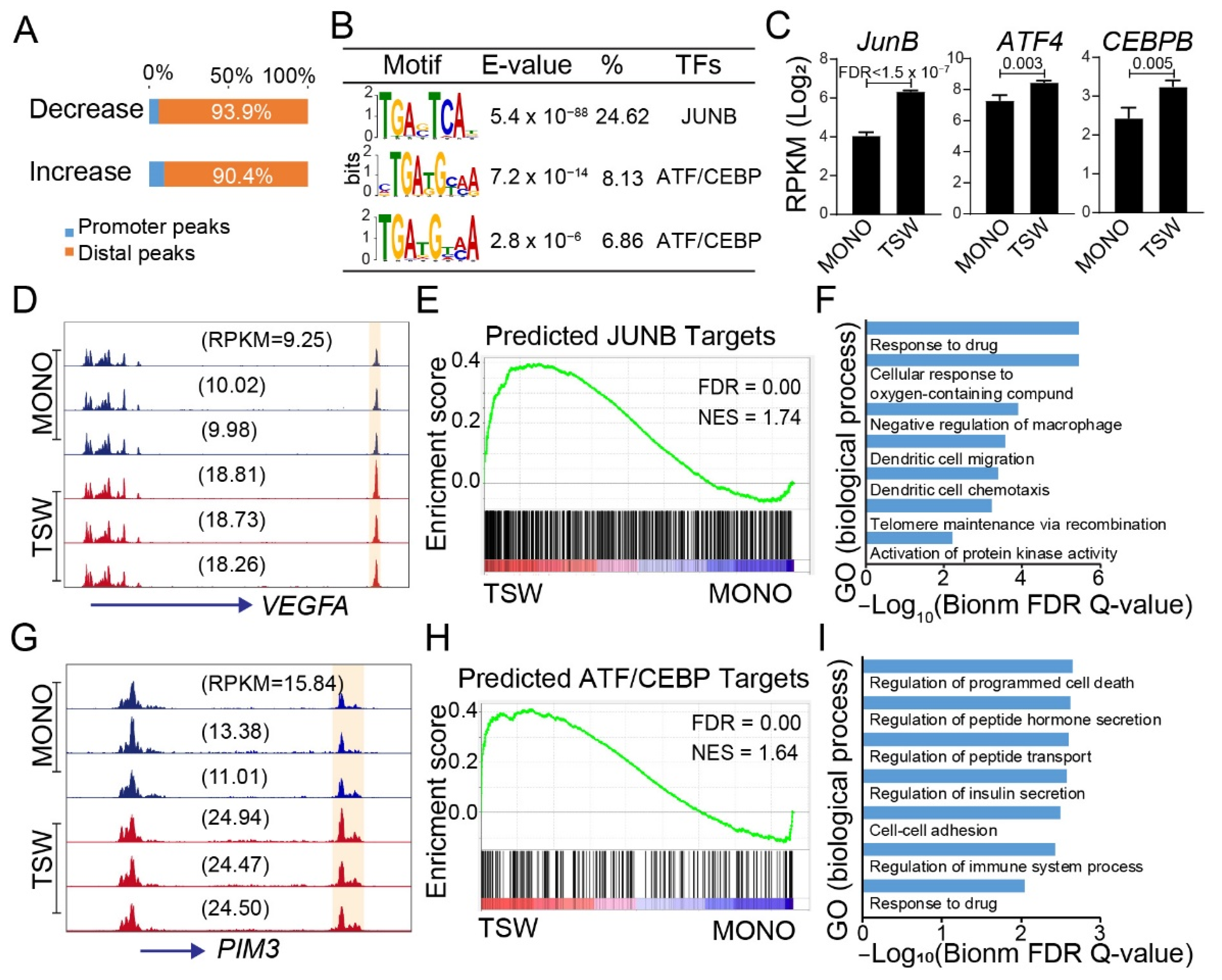 Cancers 14 00927 g006