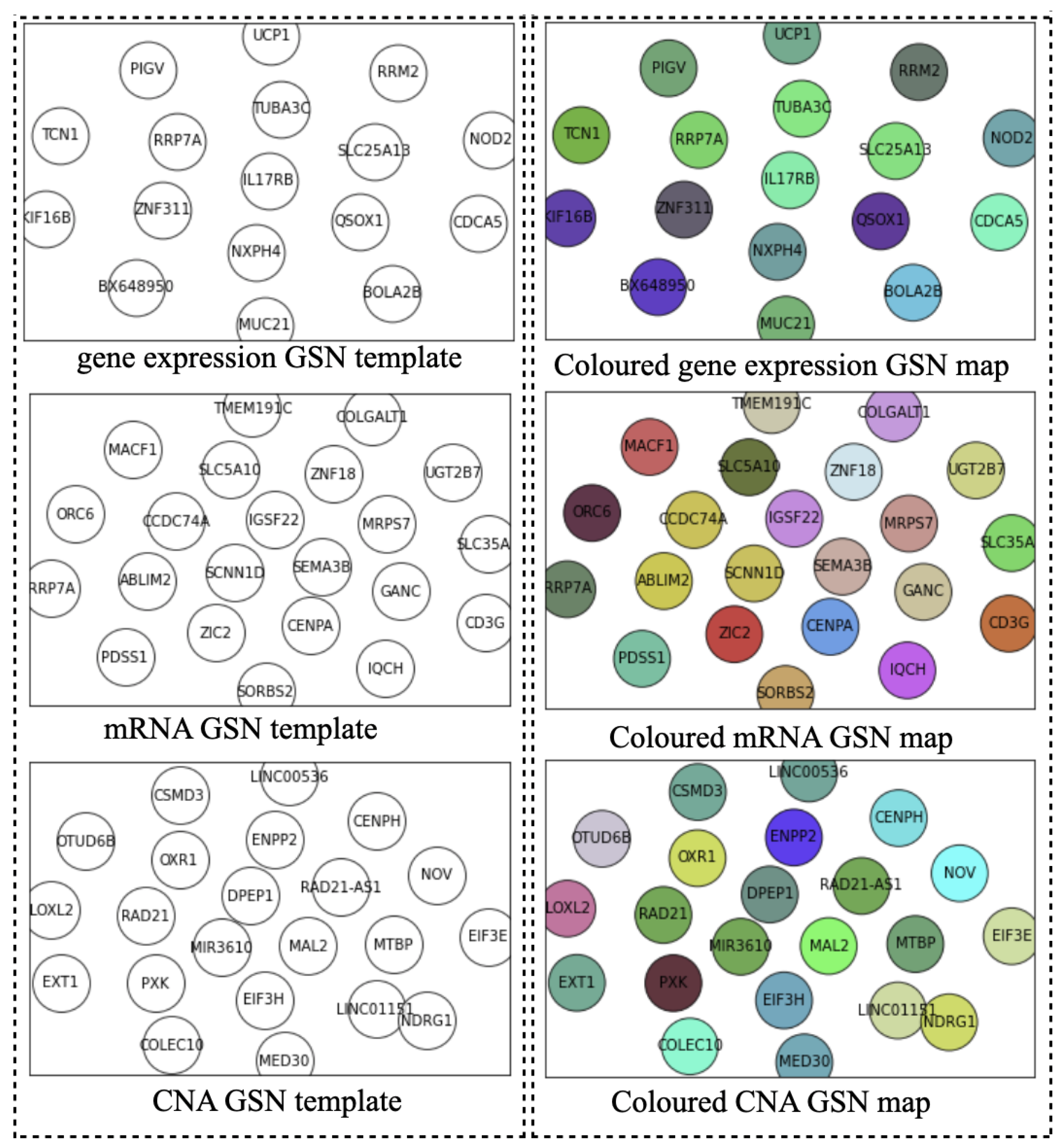 Cancers 14 00934 g002