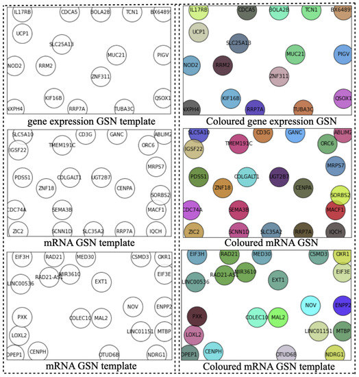cancers free full text classification of breast cancer nottingham prognostic index using high dimensional embedding and residual neural network html