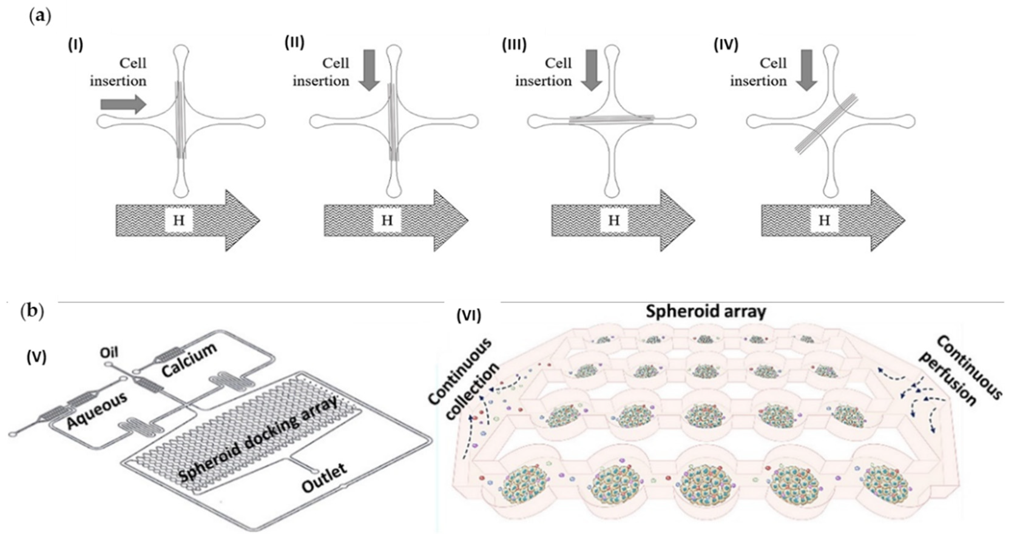 Cancers 14 00935 g004 550