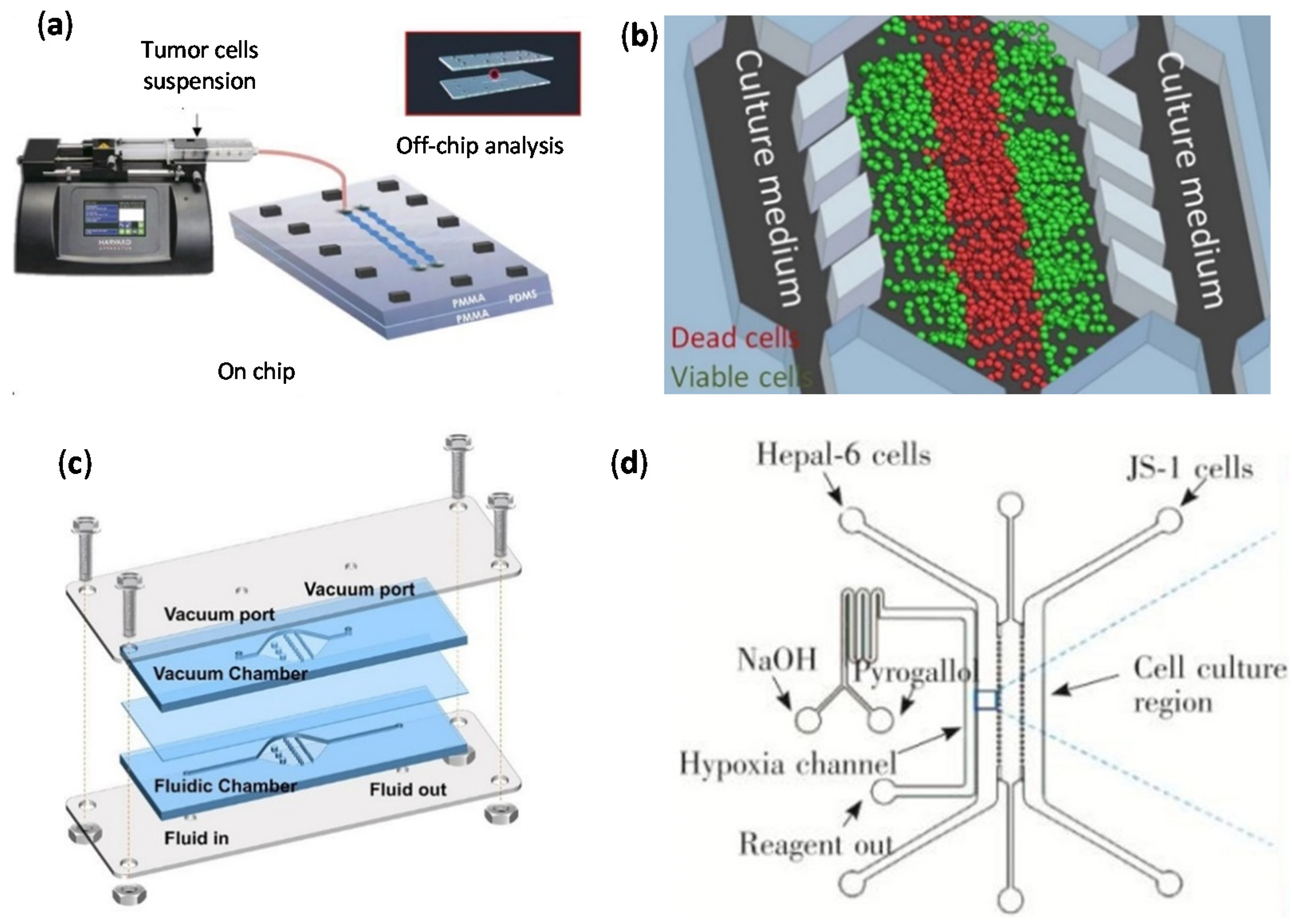 Cancers 14 00935 g006 550