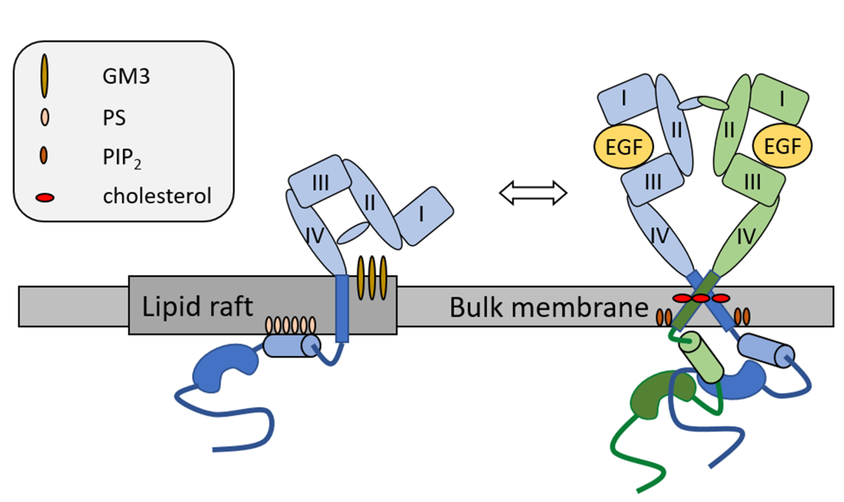 Cancers 14 00944 g003 Cancers 14 00944 g003