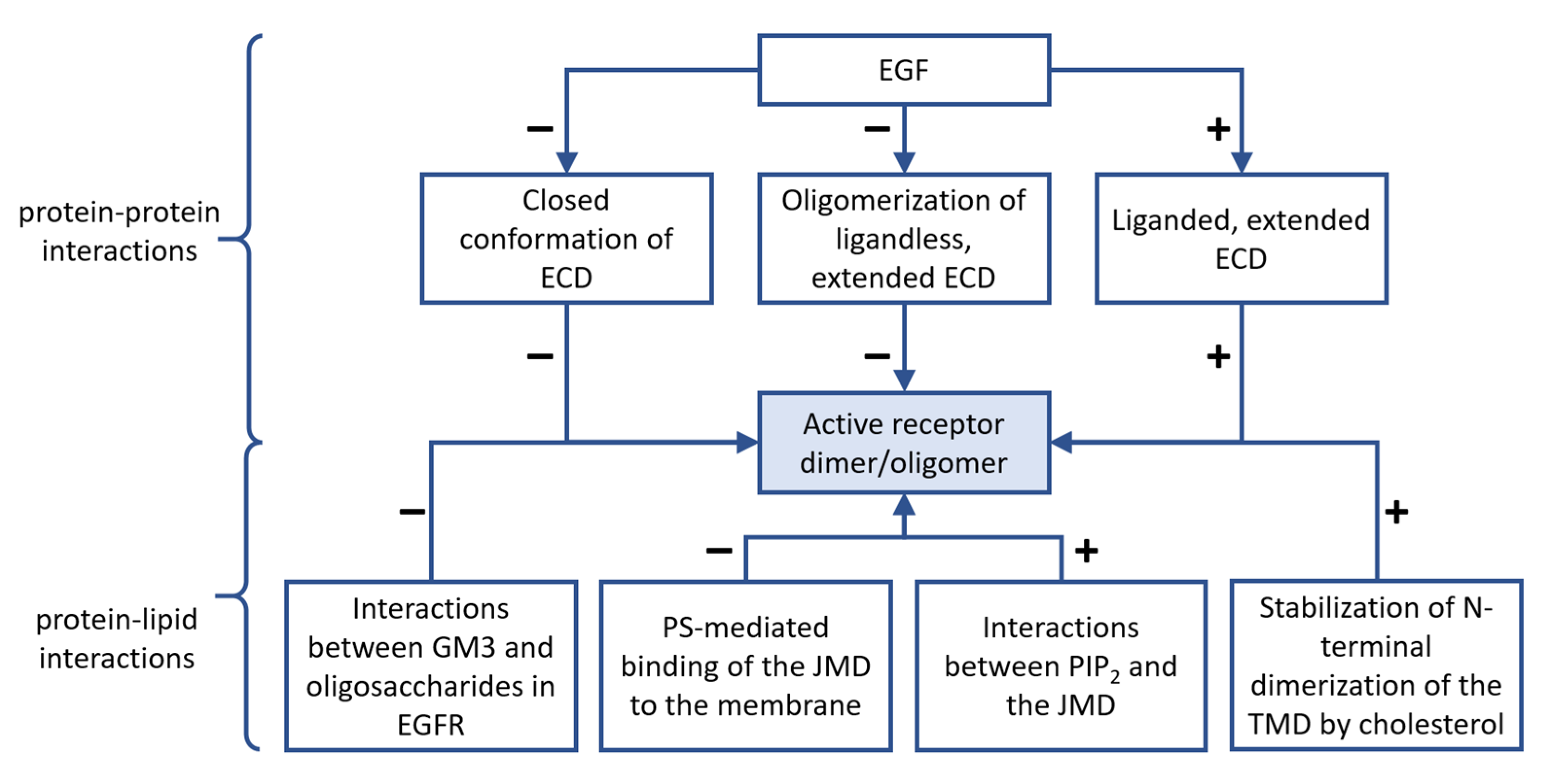 Cancers 14 00944 g005 Cancers 14 00944 g005