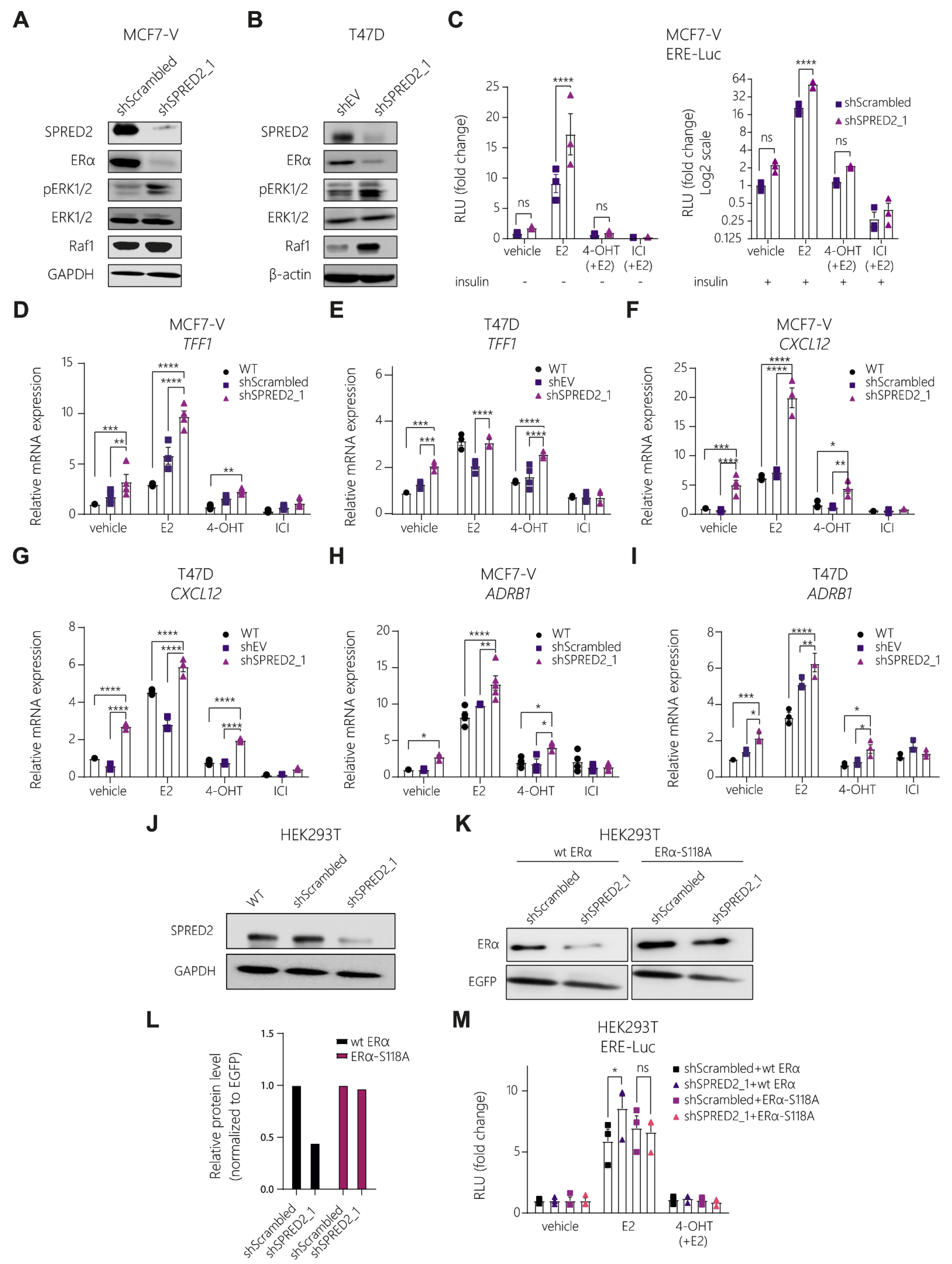 Cancers 14 00954 g003 Cancers 14 00954 g003