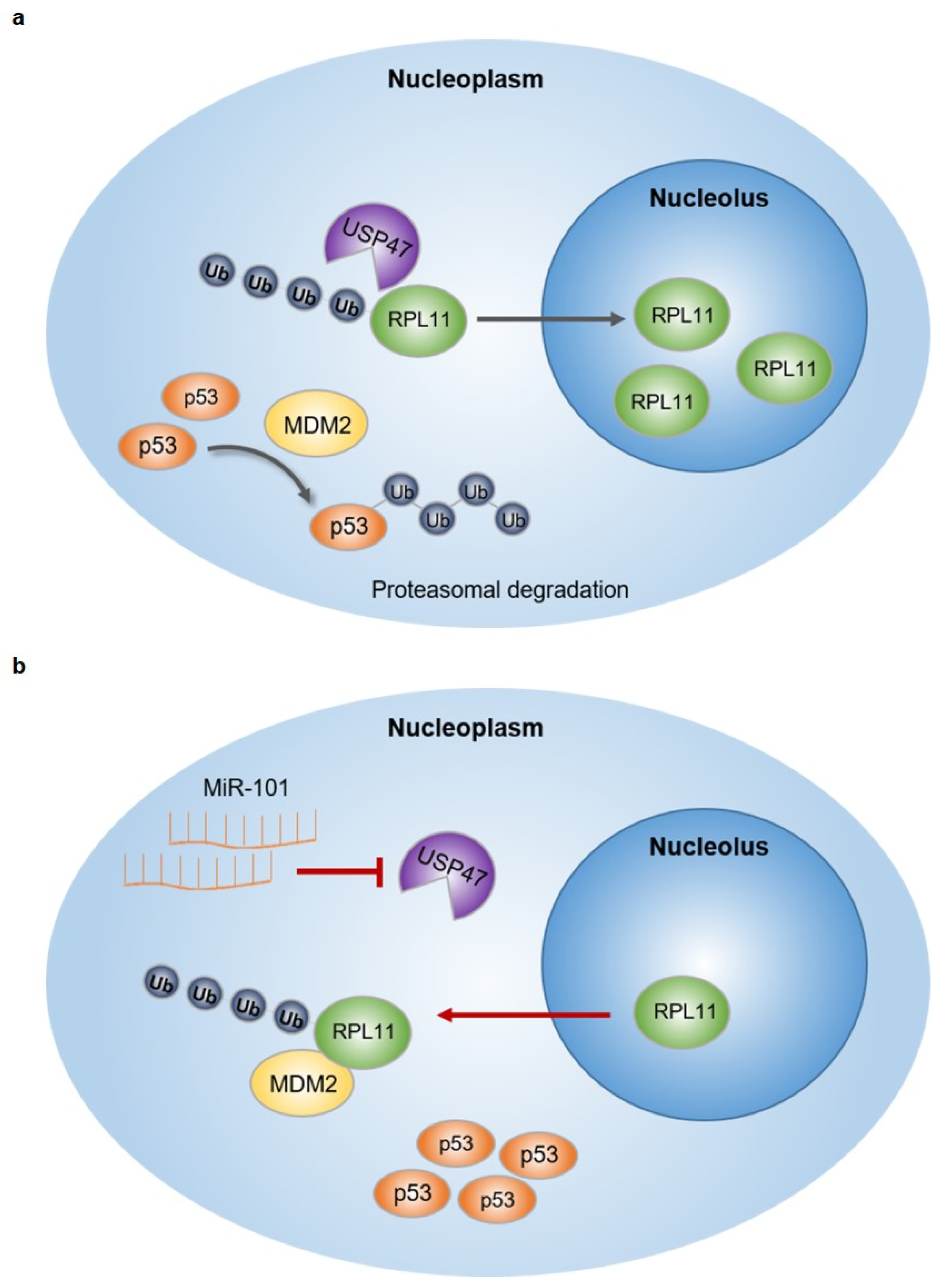 Cancers 14 00964 g008