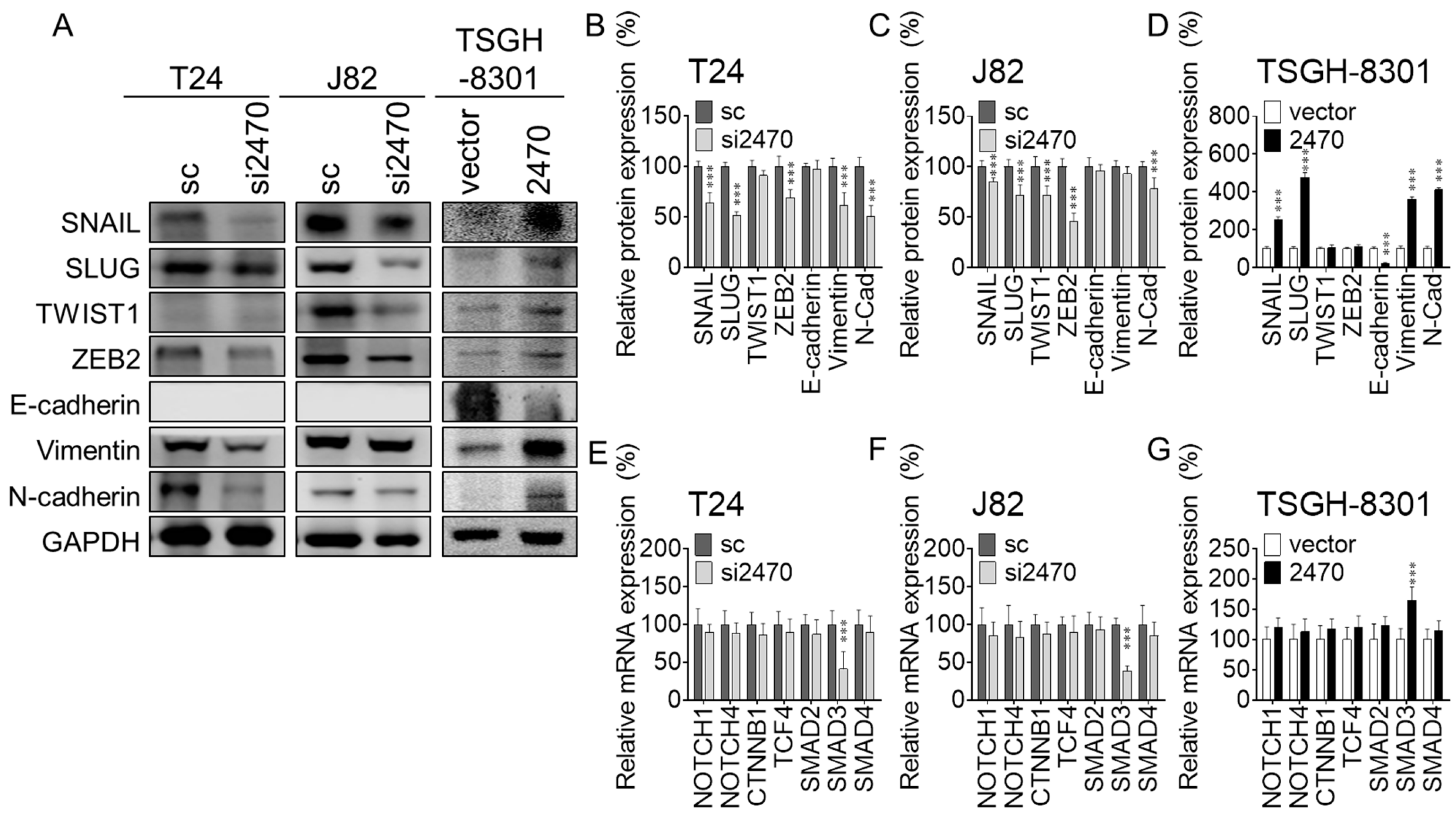 Cancers 14 00968 g003 Cancers 14 00968 g003
