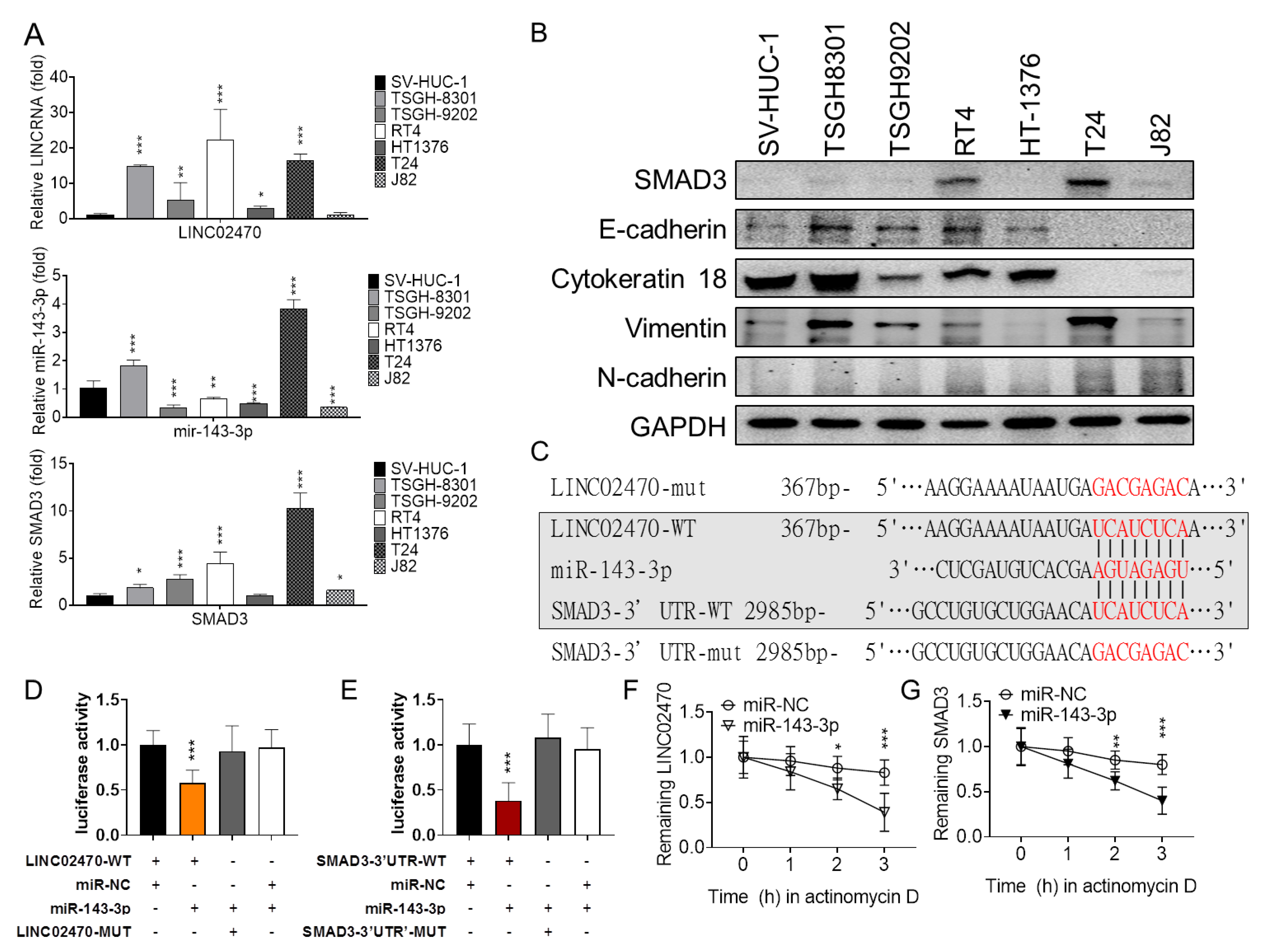 Cancers 14 00968 g004 Cancers 14 00968 g004
