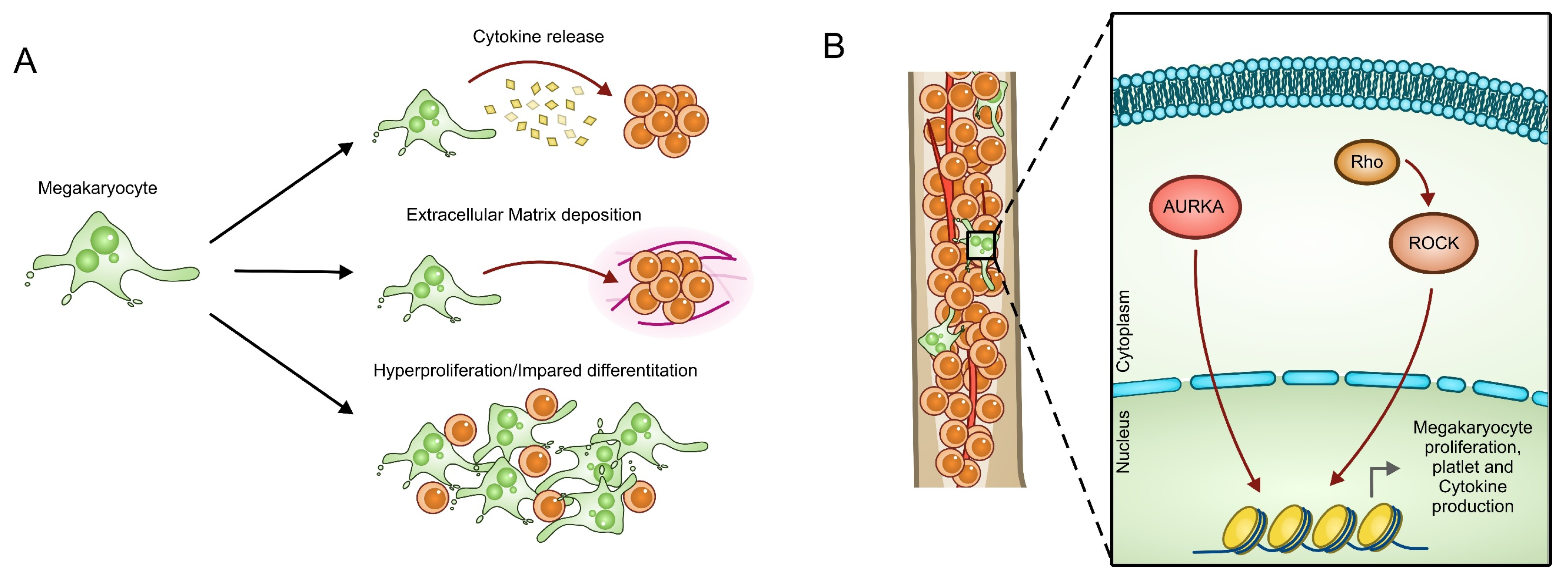 Cancers 14 00972 g004