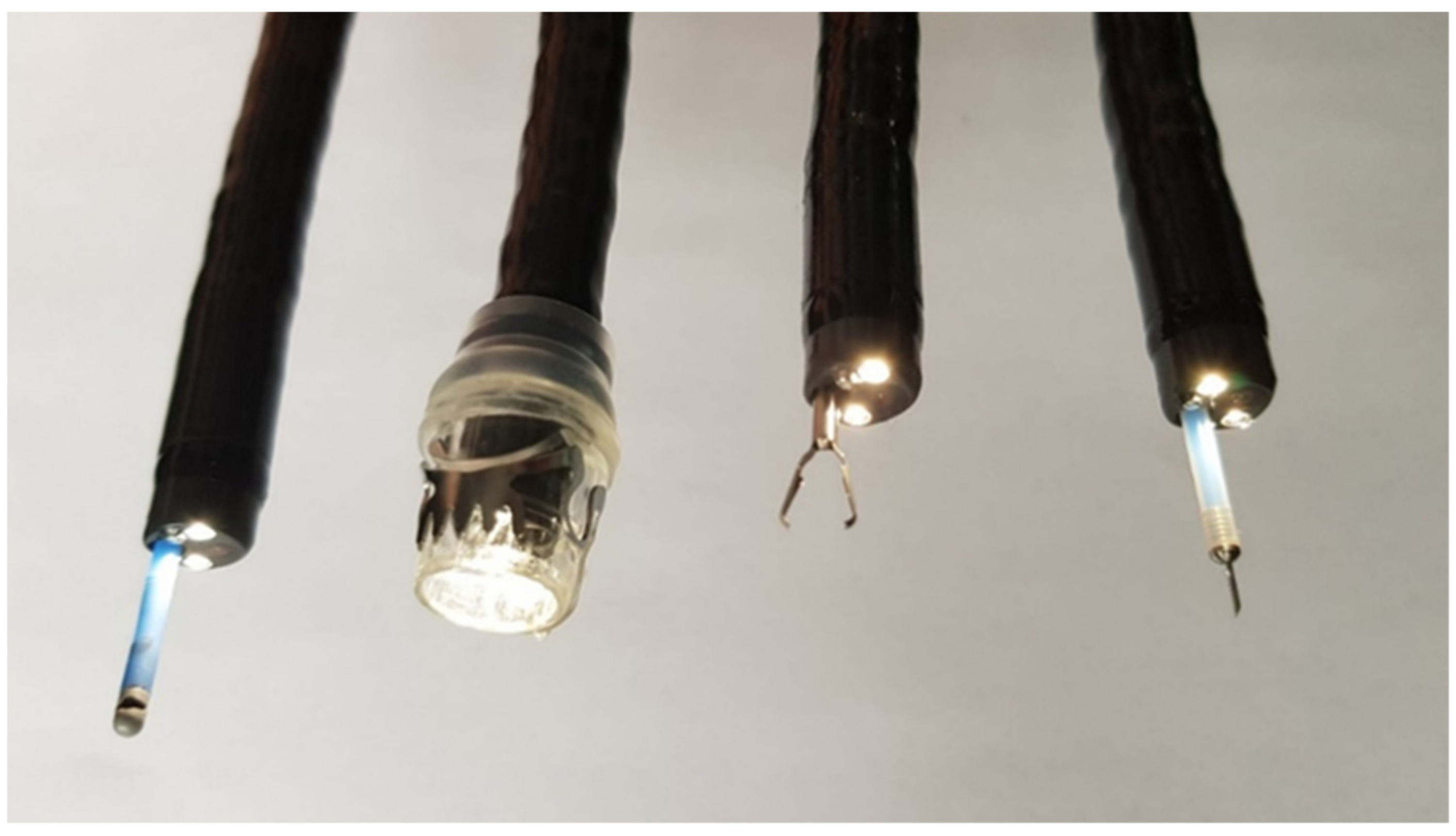 Cancers 14 00980 g002 Cancers 14 00980 g002