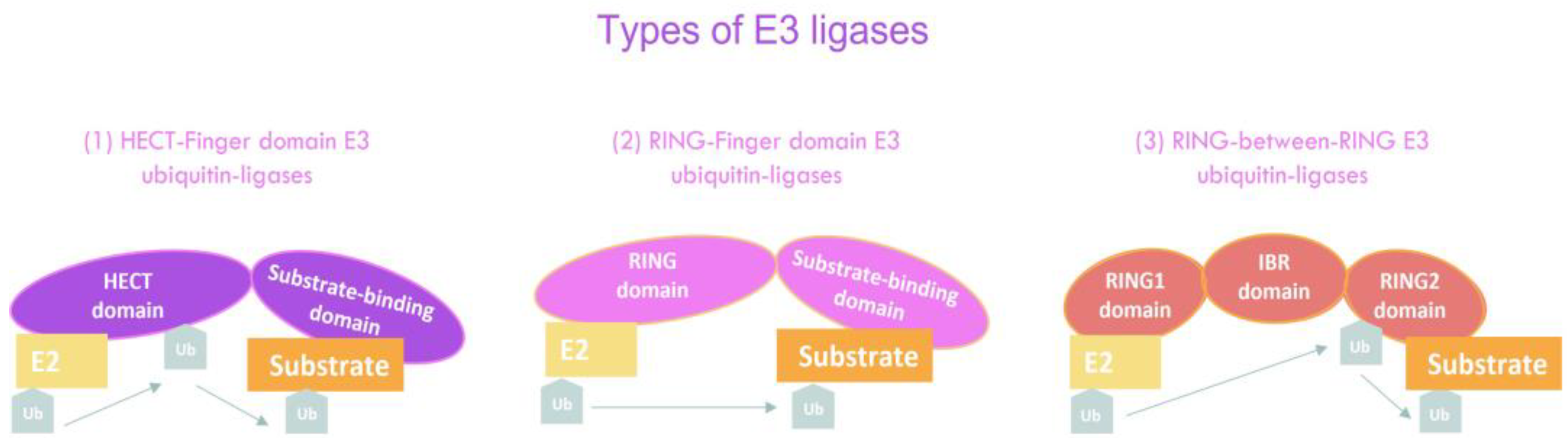 Cancers 14 00990 g002 Cancers 14 00990 g002