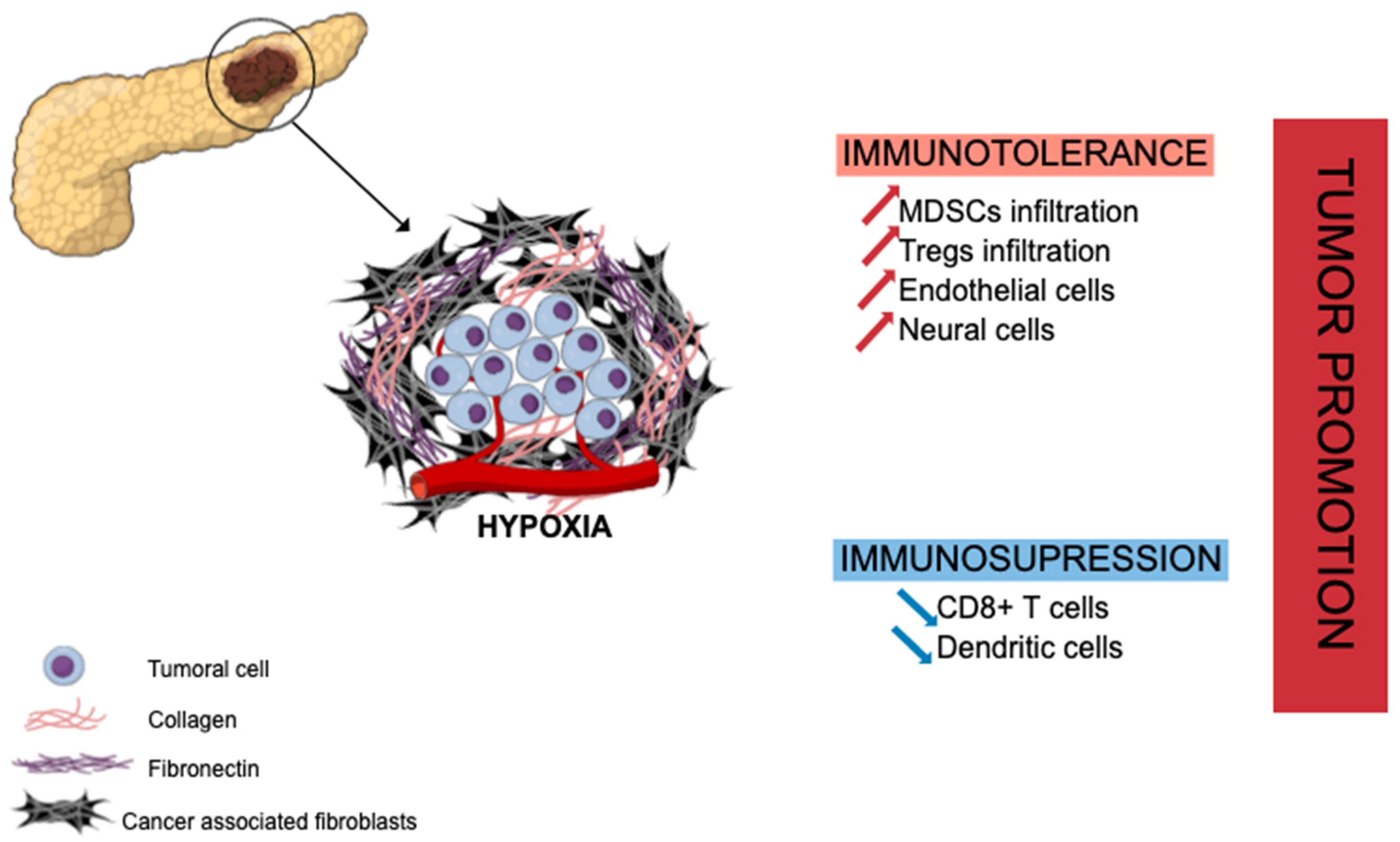 Cancers 14 00995 g001 550