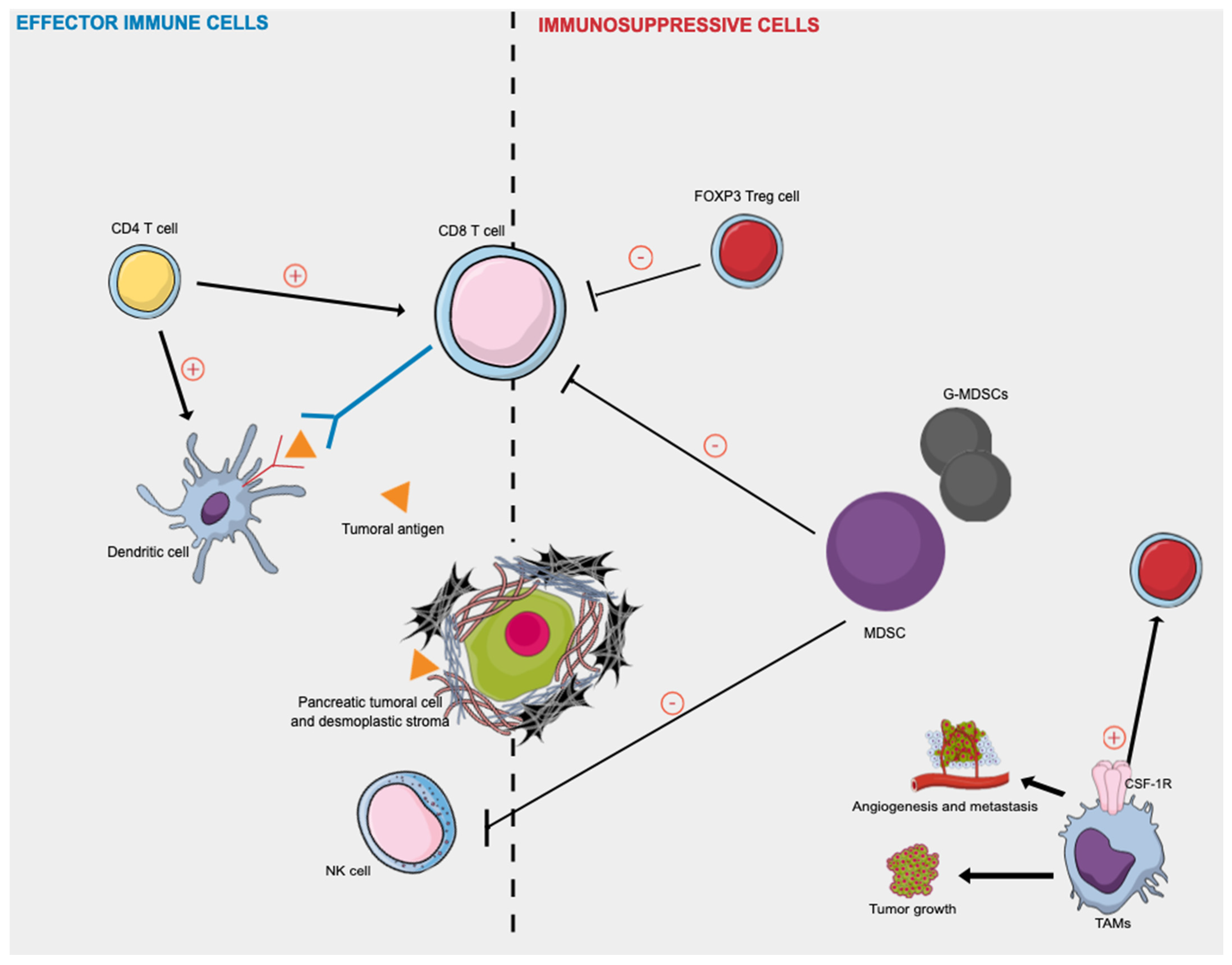 Cancers 14 00995 g002 550