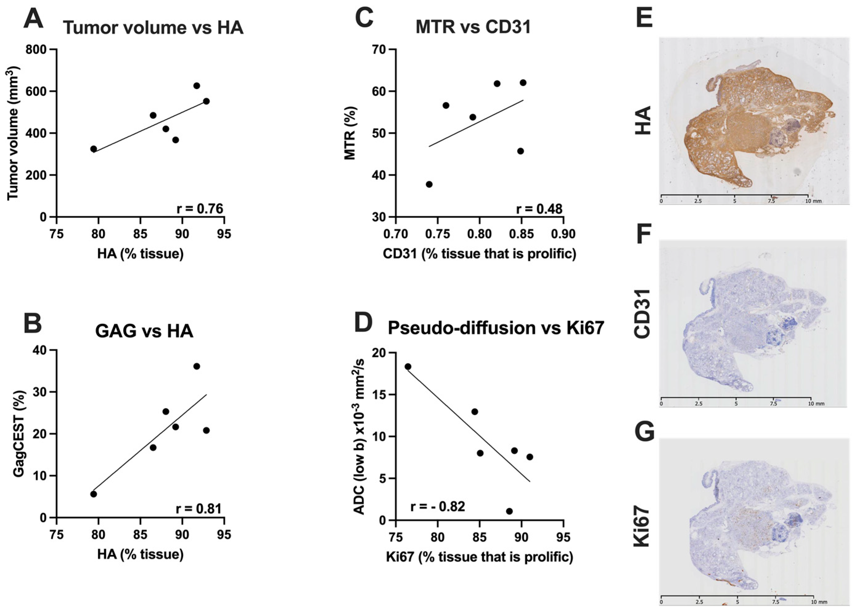 Cancers 14 00999 g005