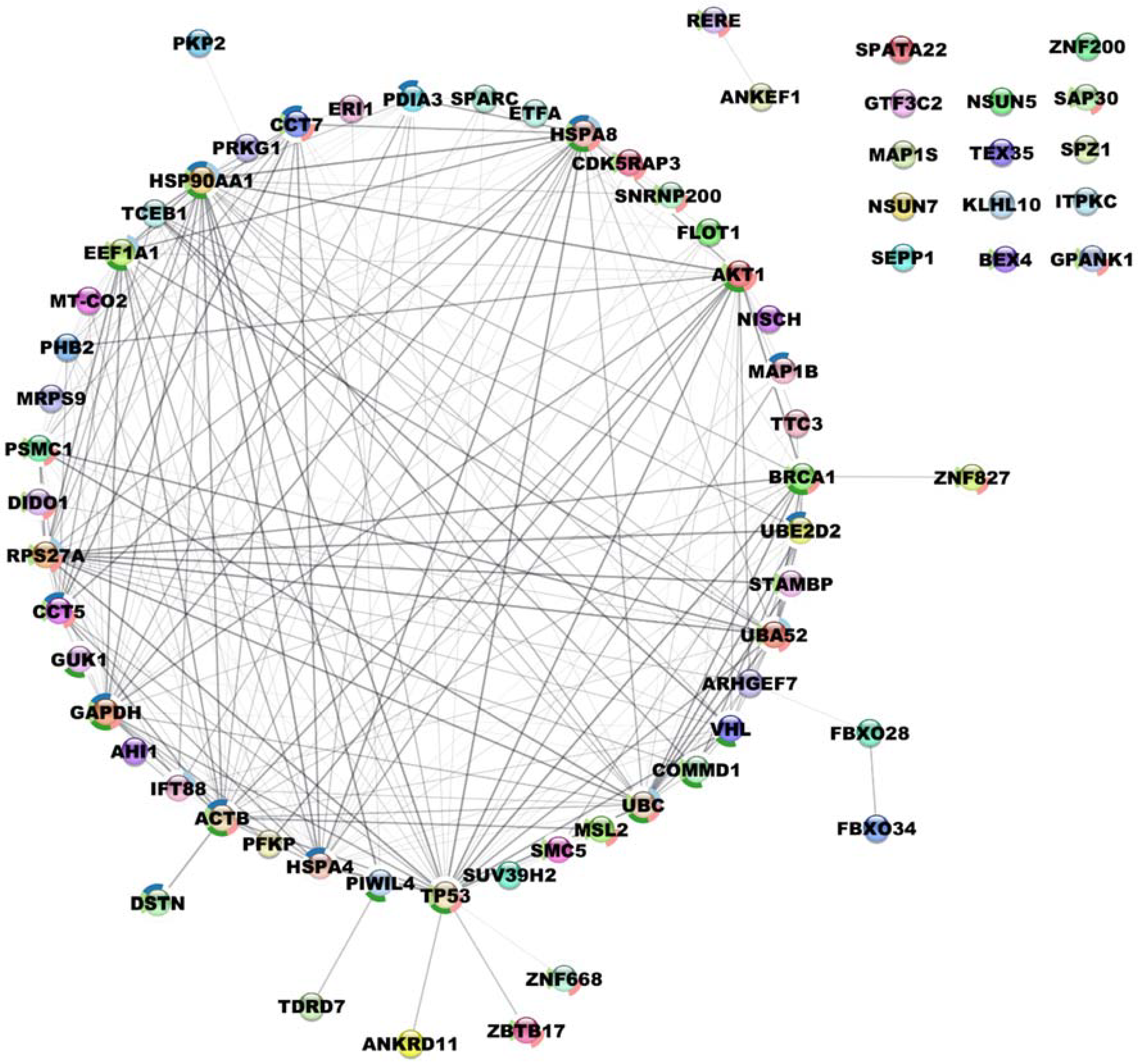 Cancers 14 01009 g003