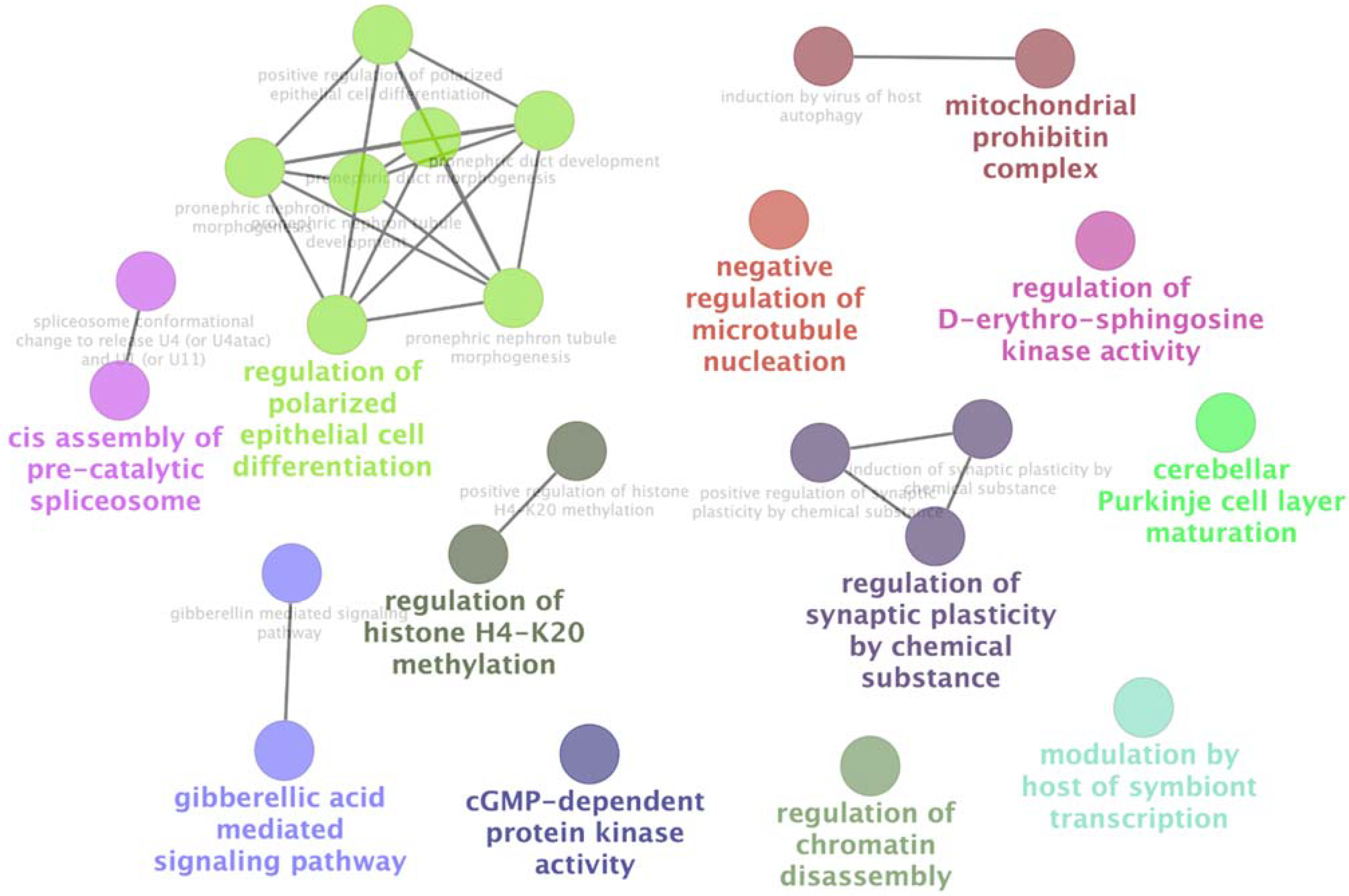 Cancers 14 01009 g004