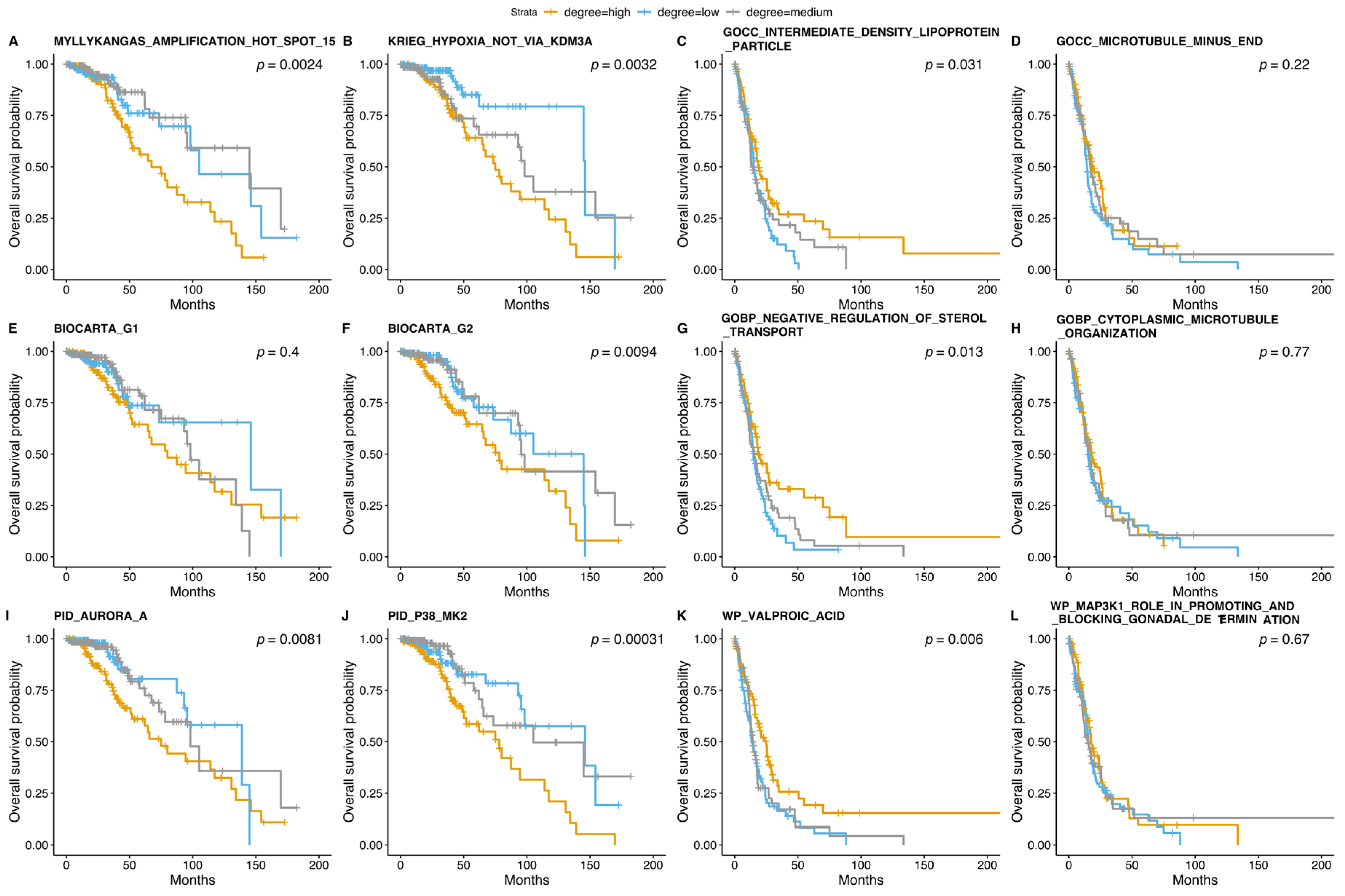 Cancers 14 01014 g005 Cancers 14 01014 g005