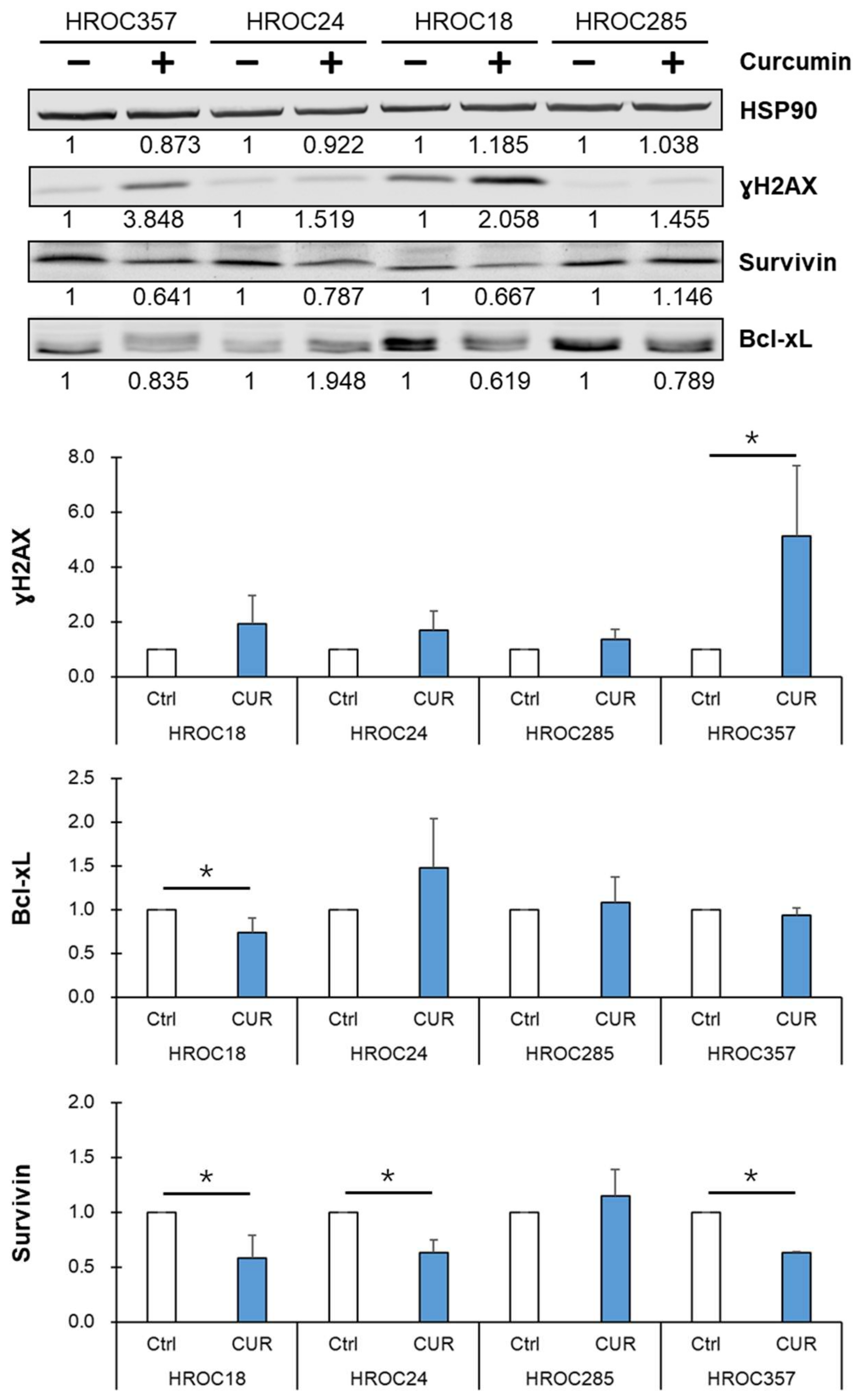 Cancers 14 01032 g004