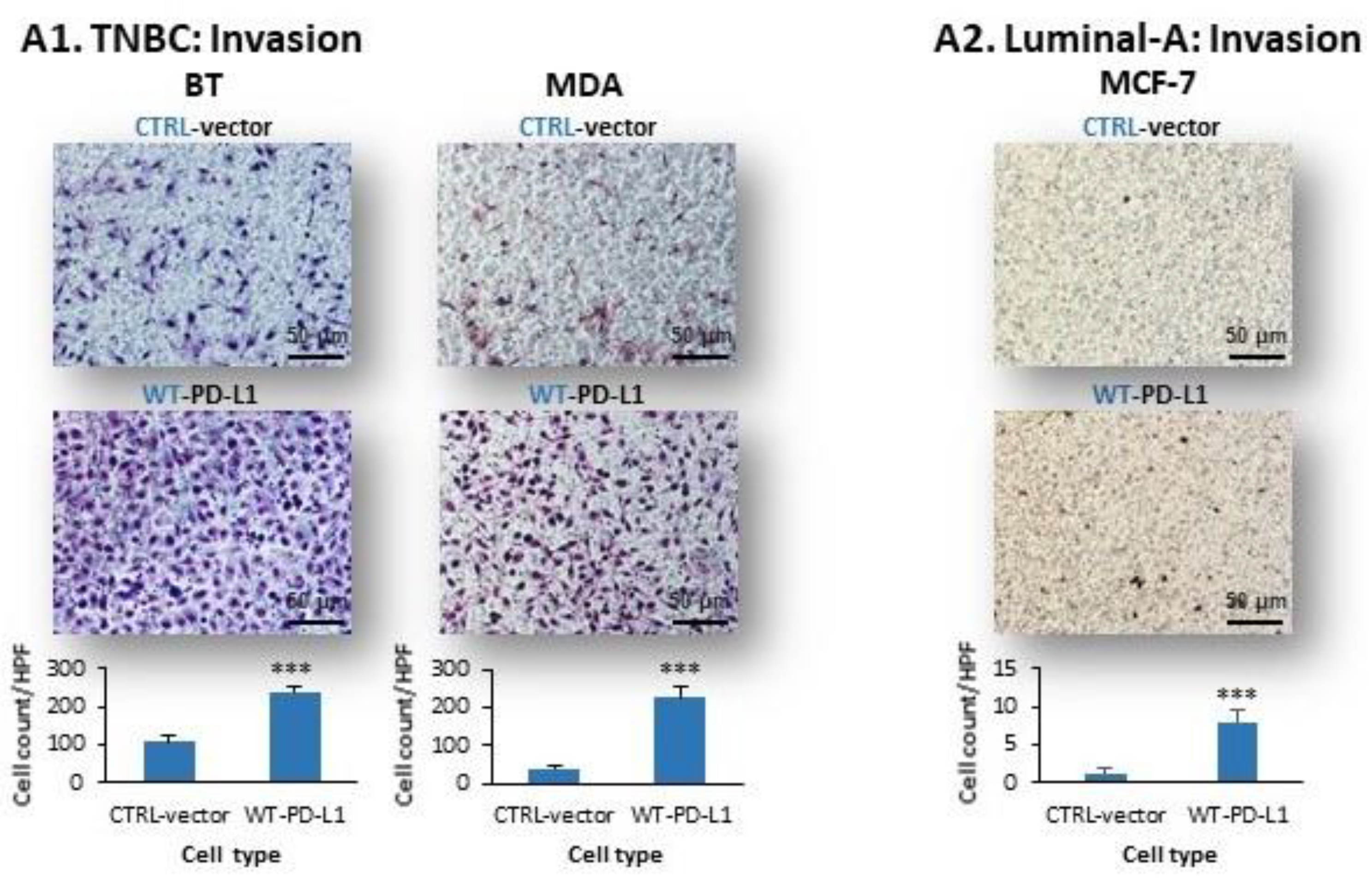 Cancers 14 01042 g003a