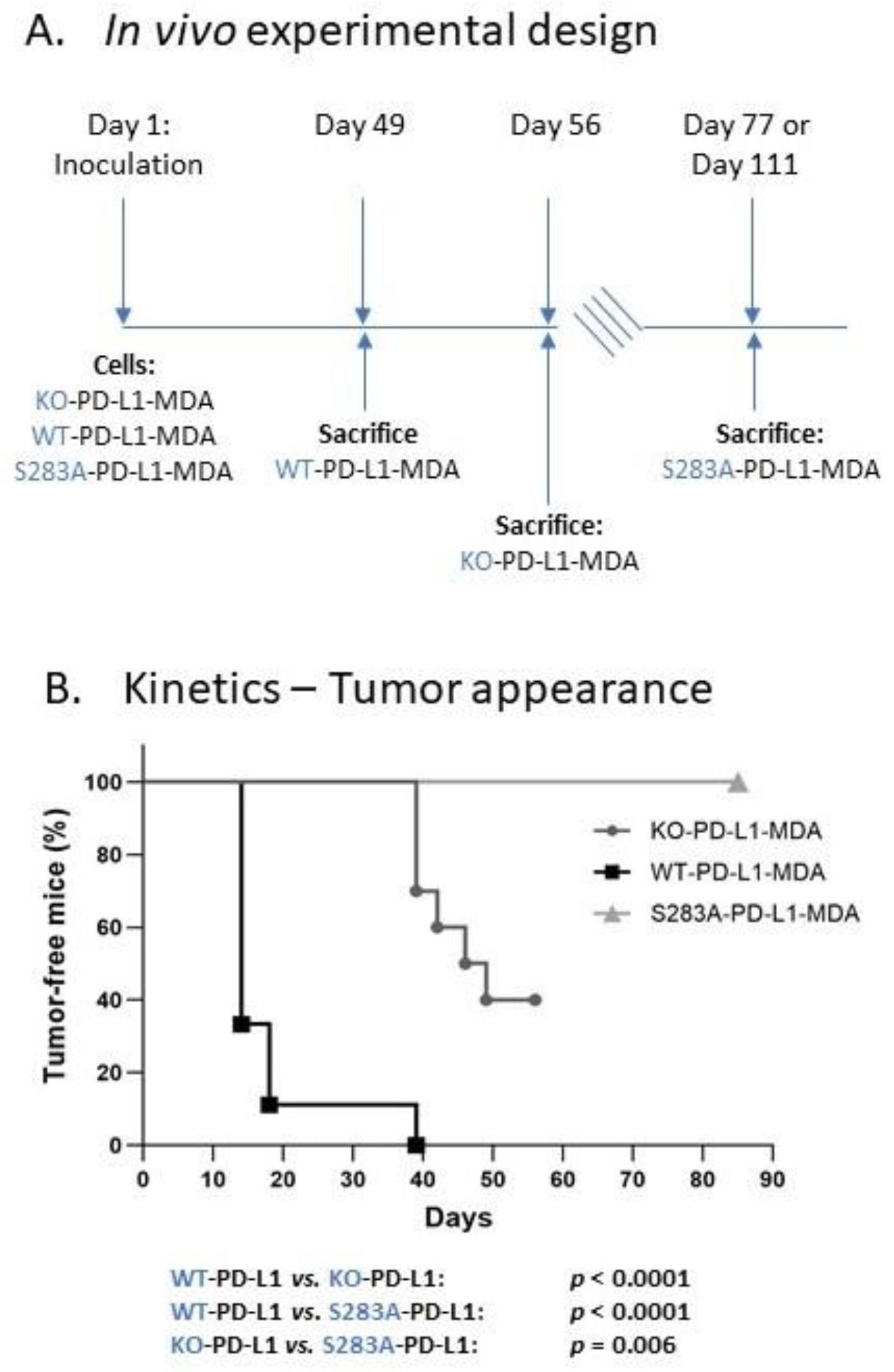 Cancers 14 01042 g008