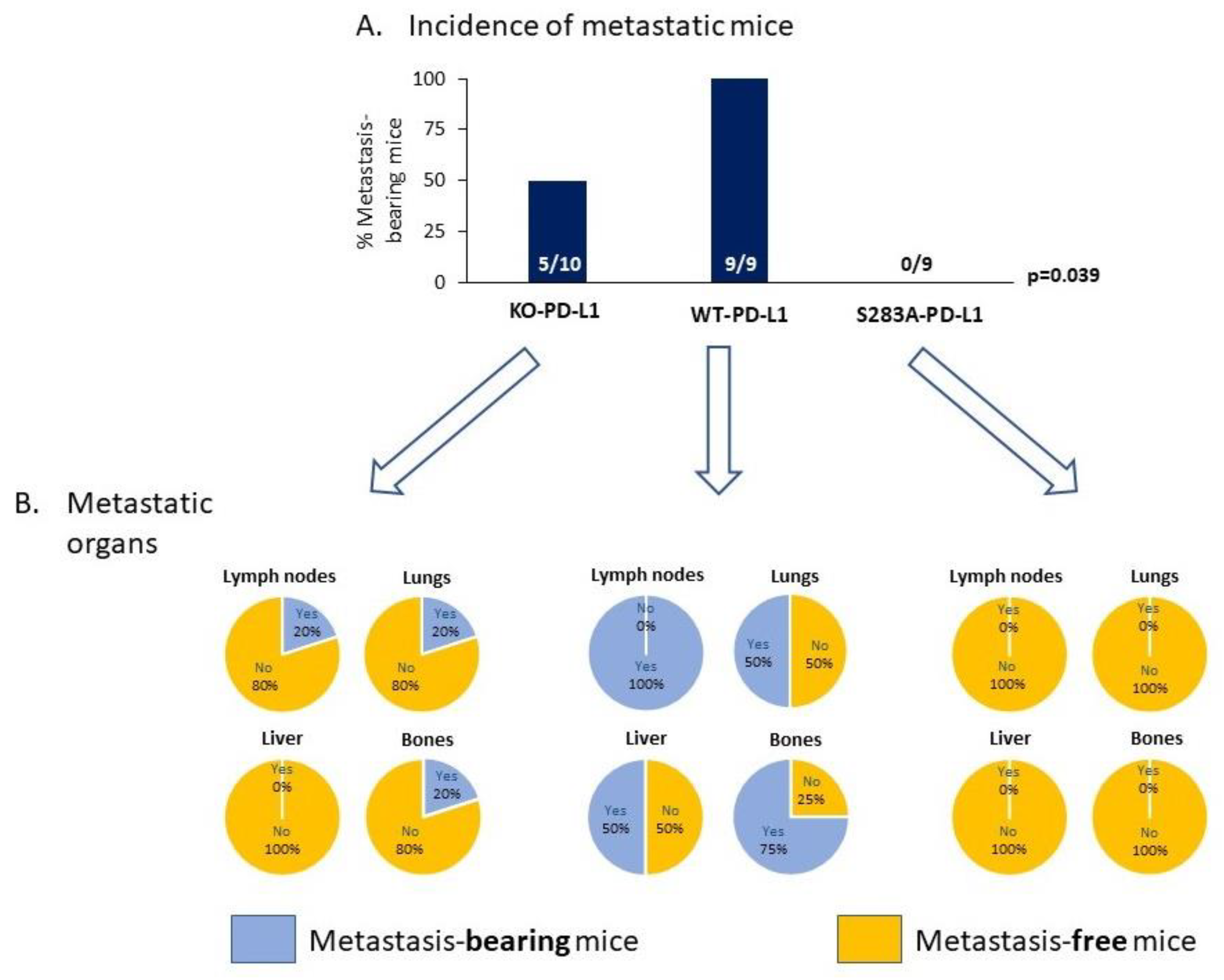 Cancers 14 01042 g010