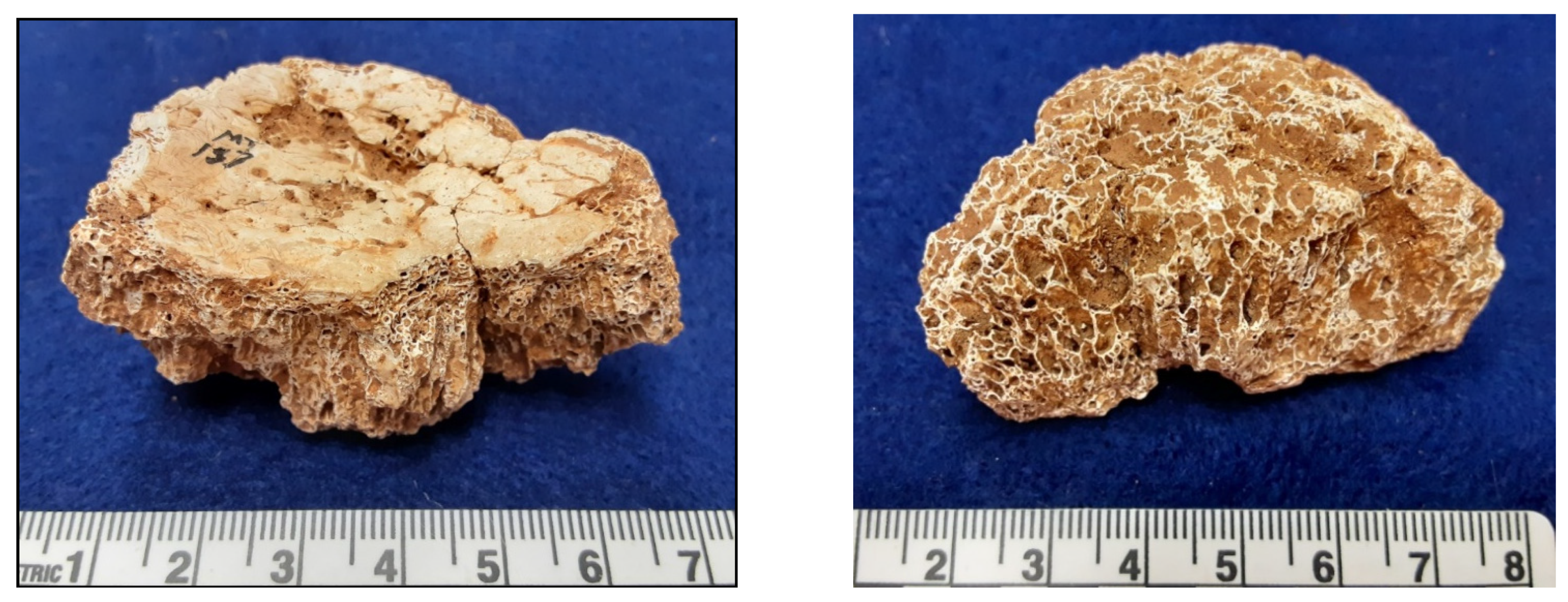 Cancers 14 01058 g001