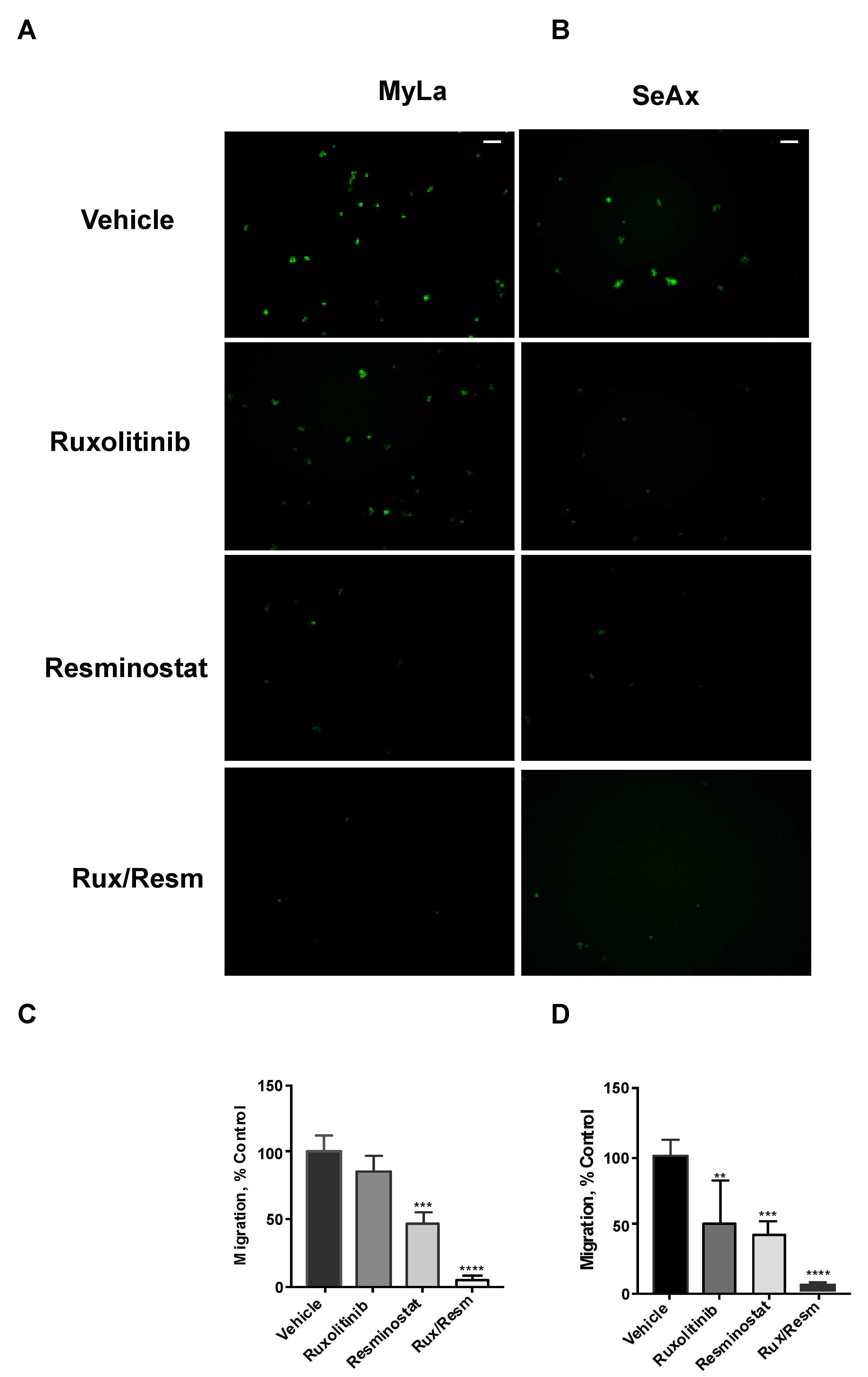 Cancers 14 01070 g003 Cancers 14 01070 g003