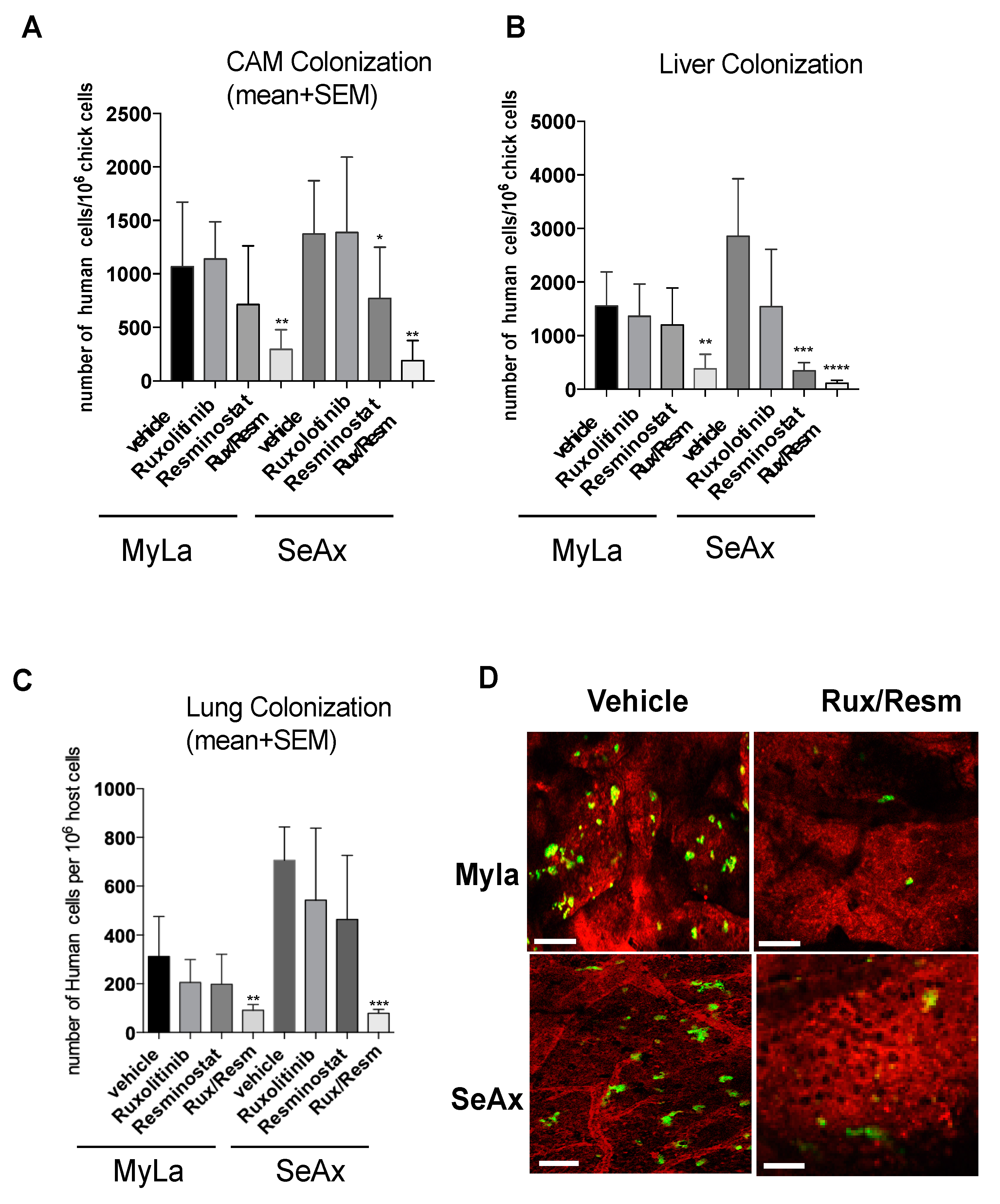 Cancers 14 01070 g006 Cancers 14 01070 g006