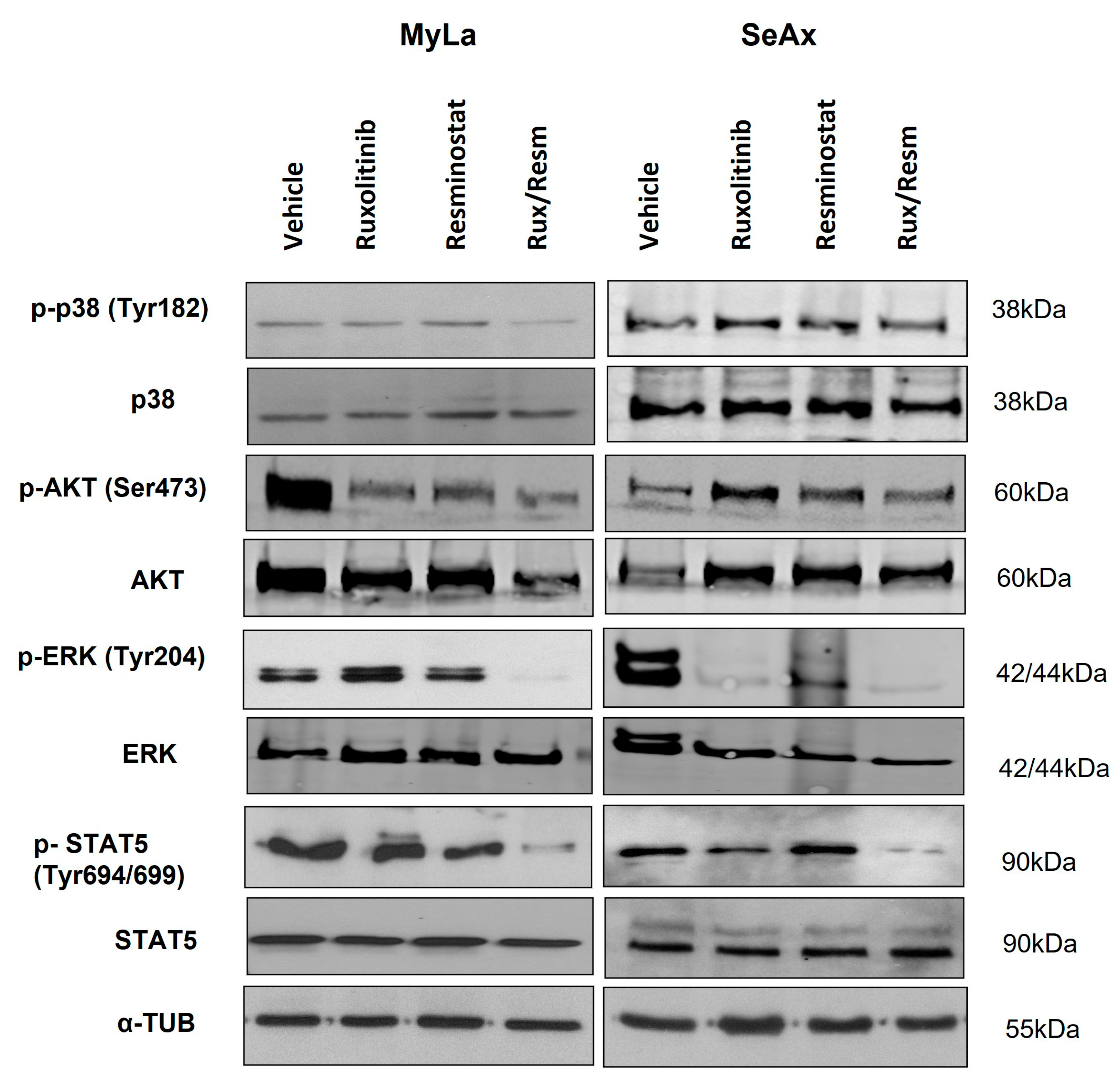 Cancers 14 01070 g007 Cancers 14 01070 g007