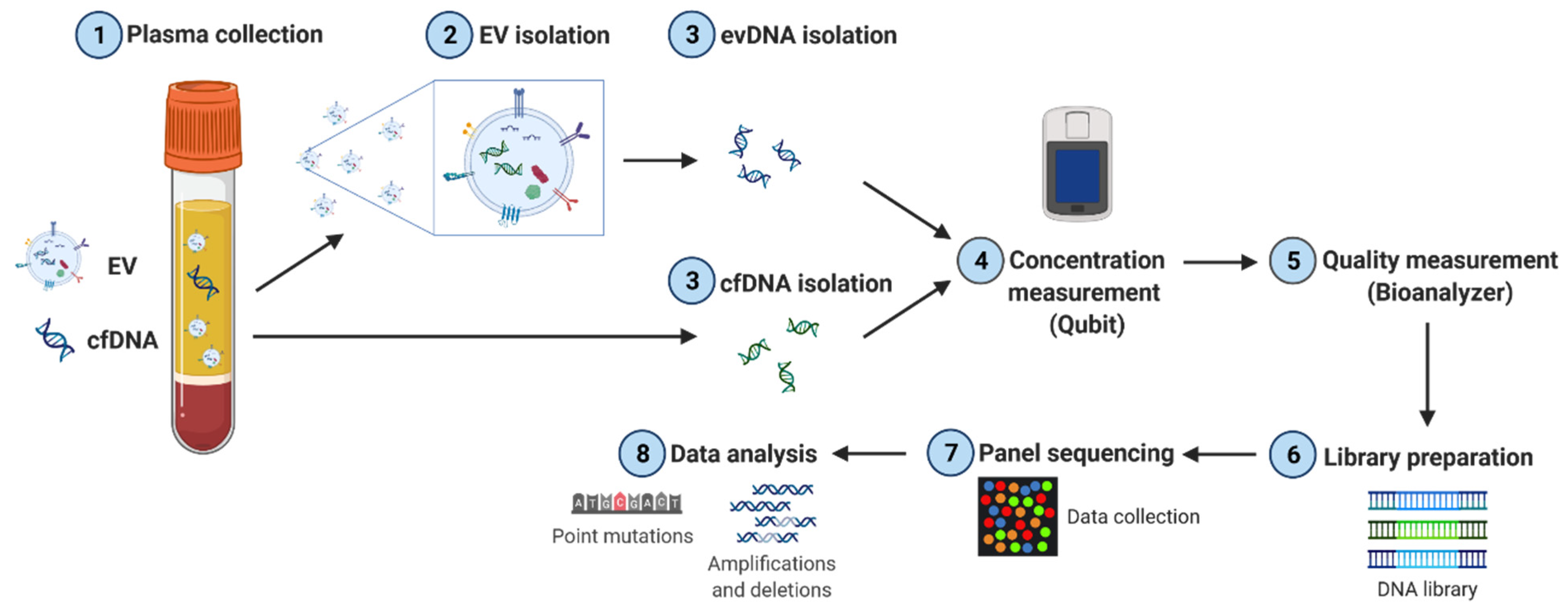 Cancers 14 01074 g001 550