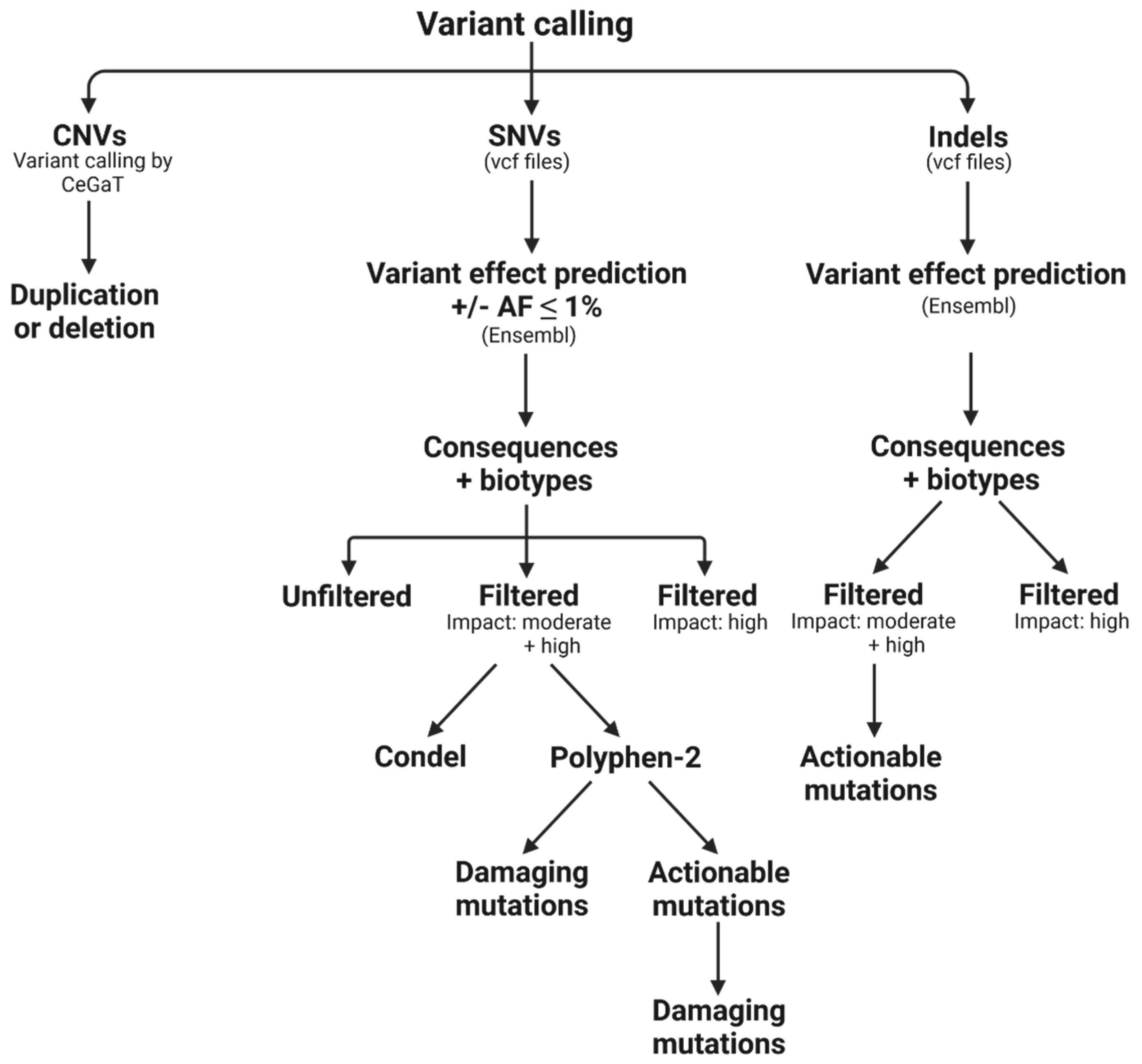 Cancers 14 01074 g002 550