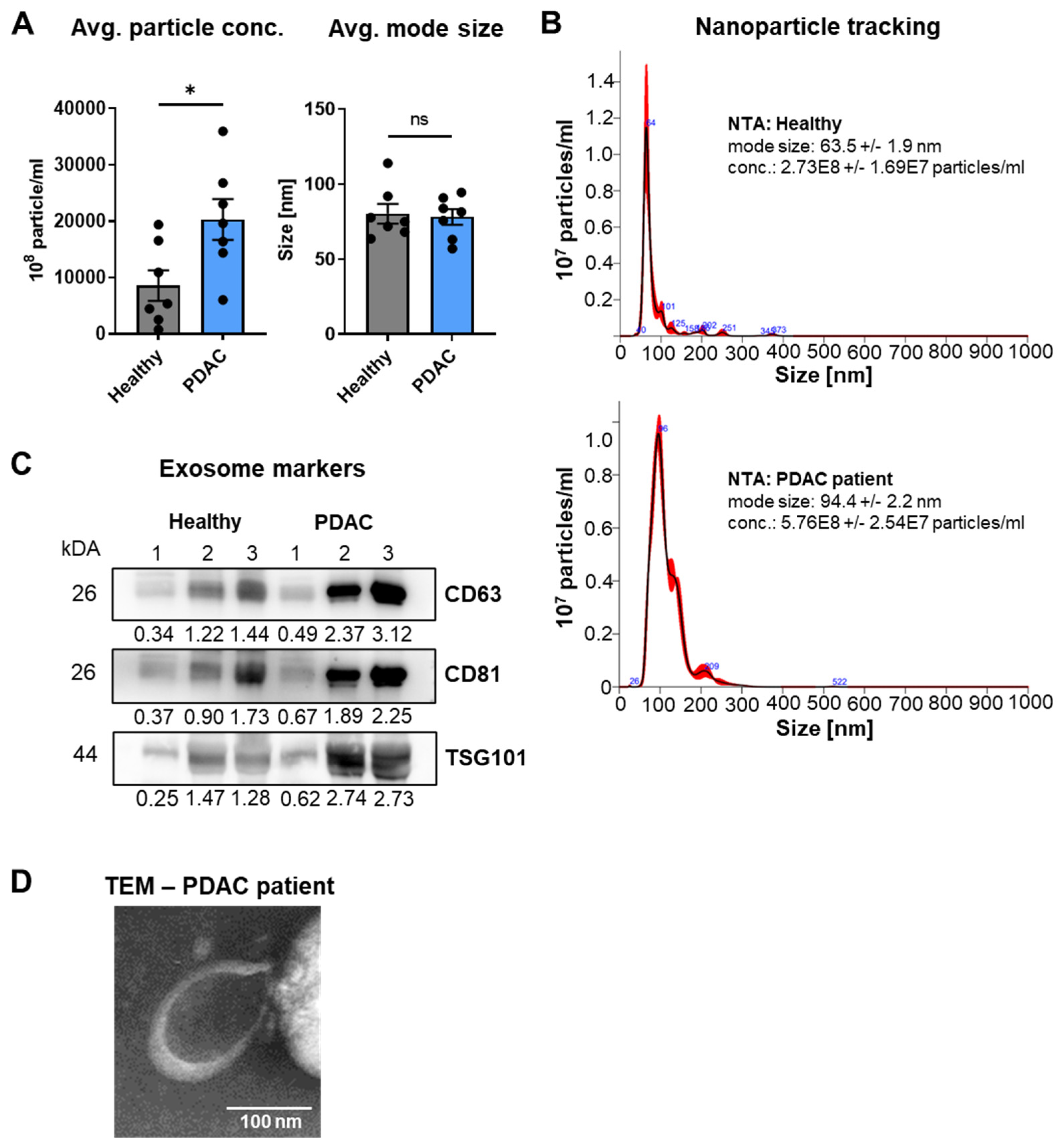 Cancers 14 01074 g003 550