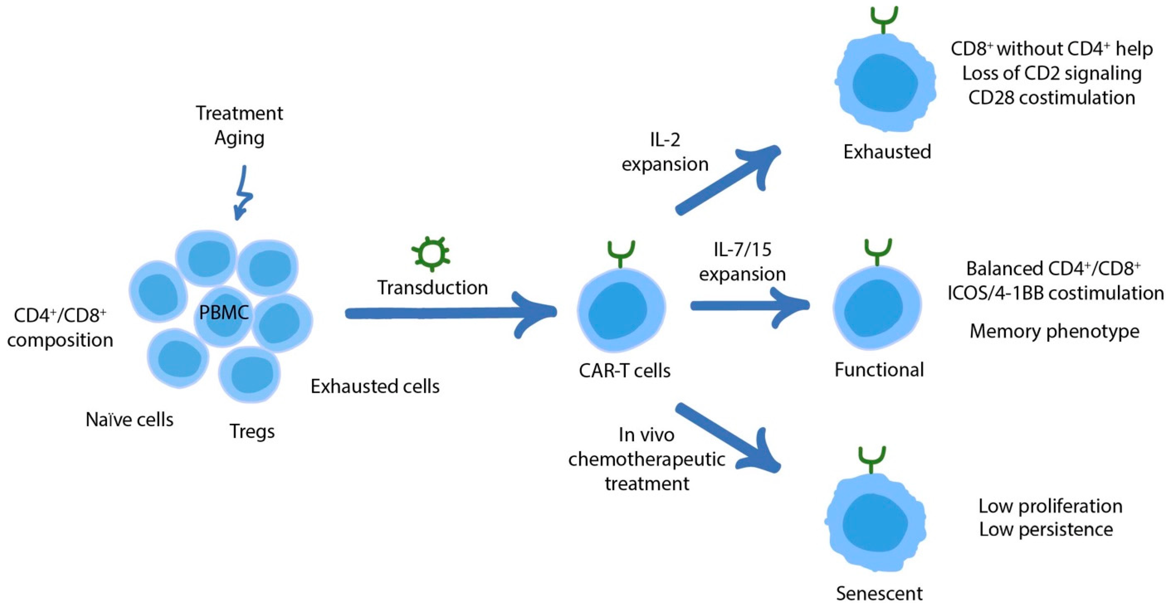 Cancers 14 01078 g002