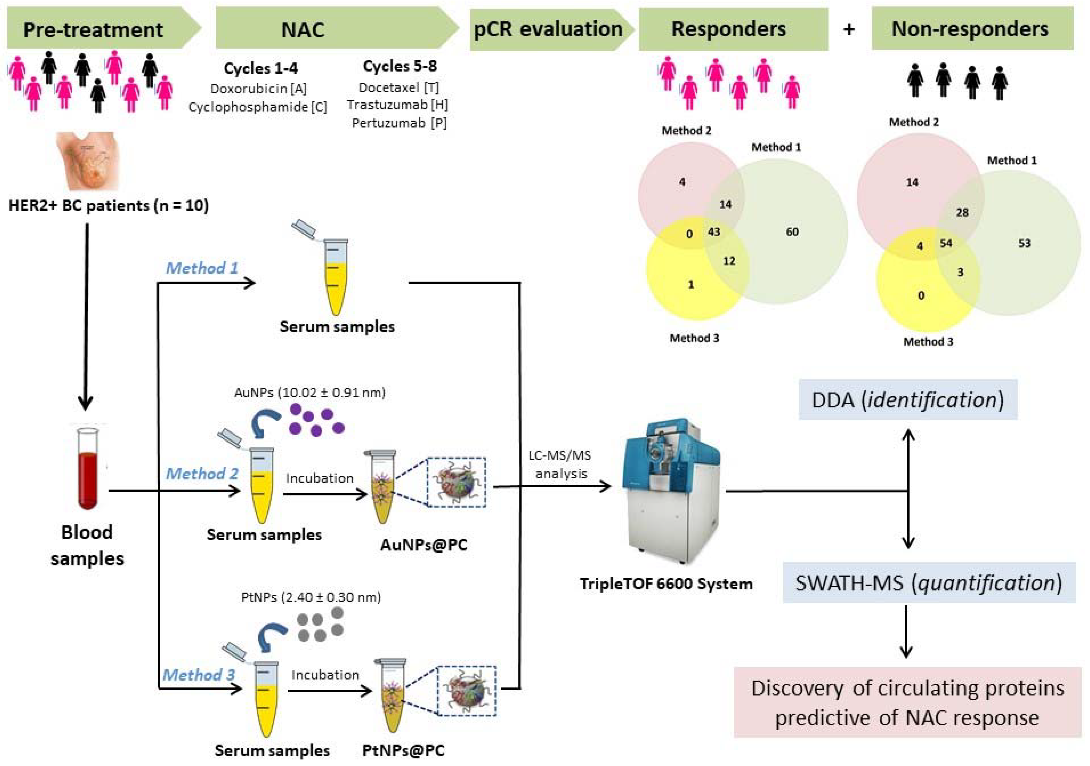 Cancers 14 01087 g001