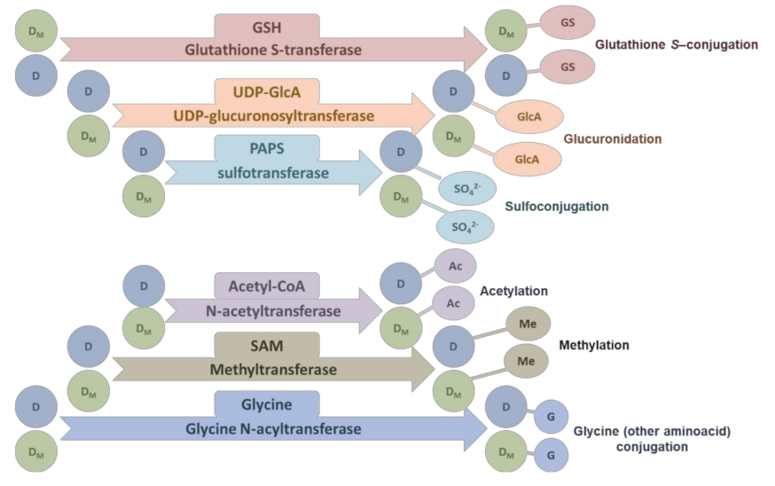 Cancers 14 01090 g003 Cancers 14 01090 g003