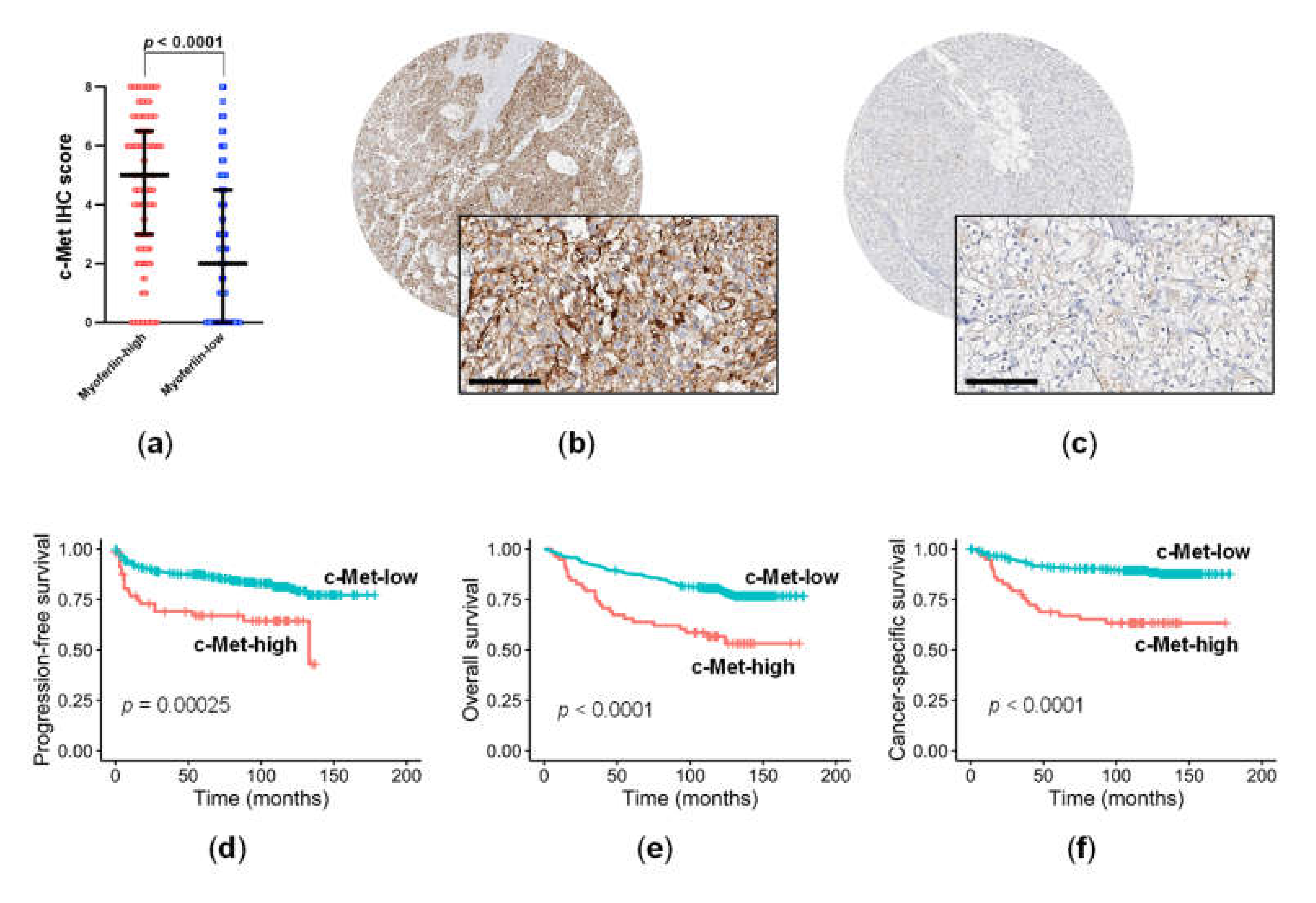 Cancers 14 01095 g002 550