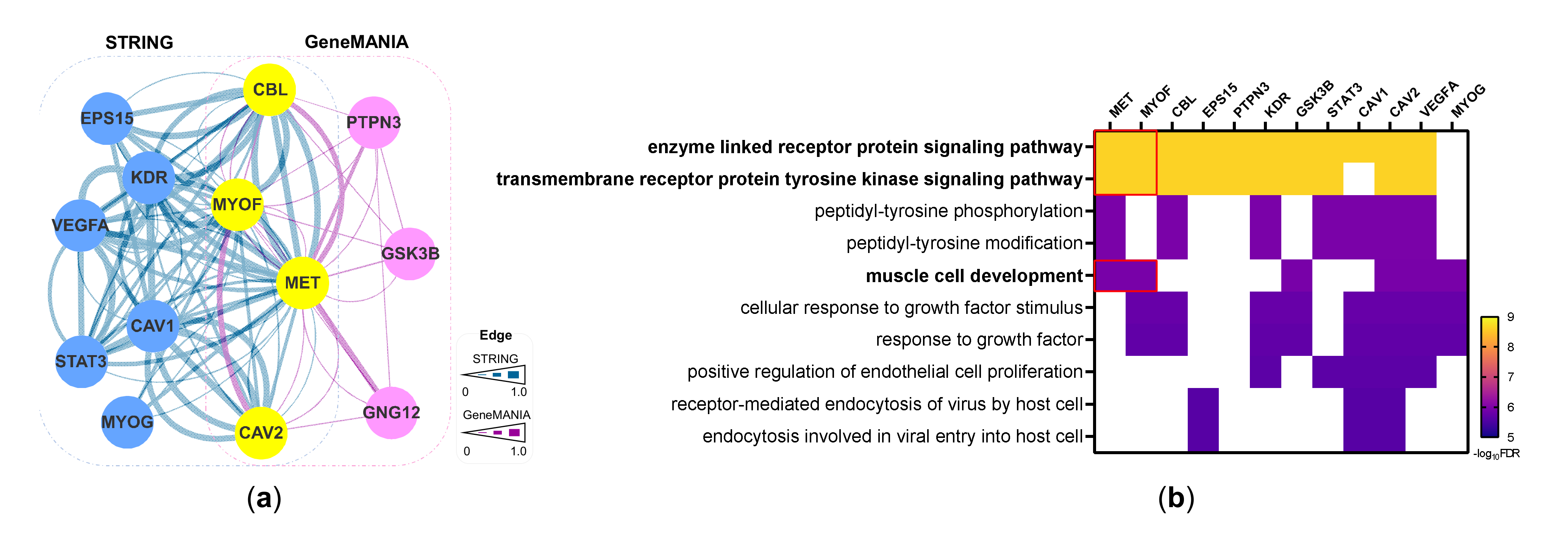 Cancers 14 01095 g004 550