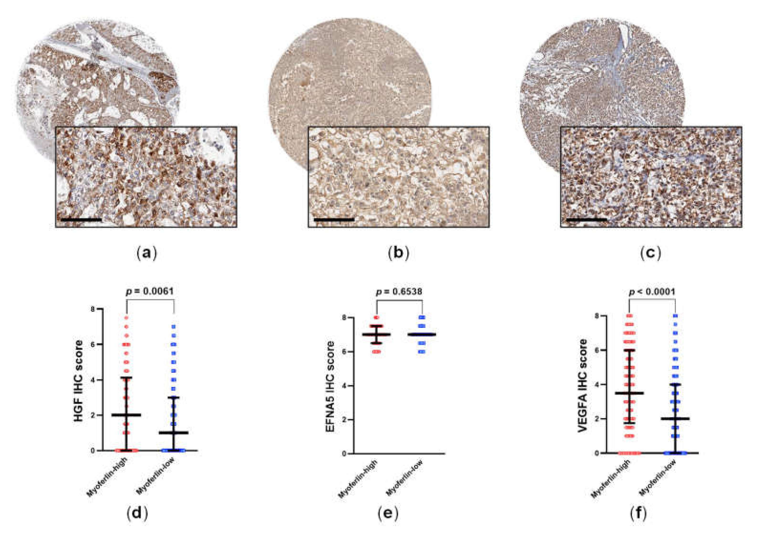 Cancers 14 01095 g005 550