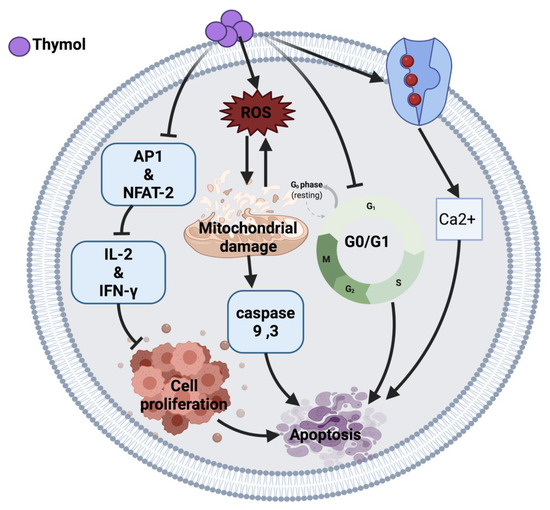 Therapeutic Potential of Certain Terpenoids as Anticancer