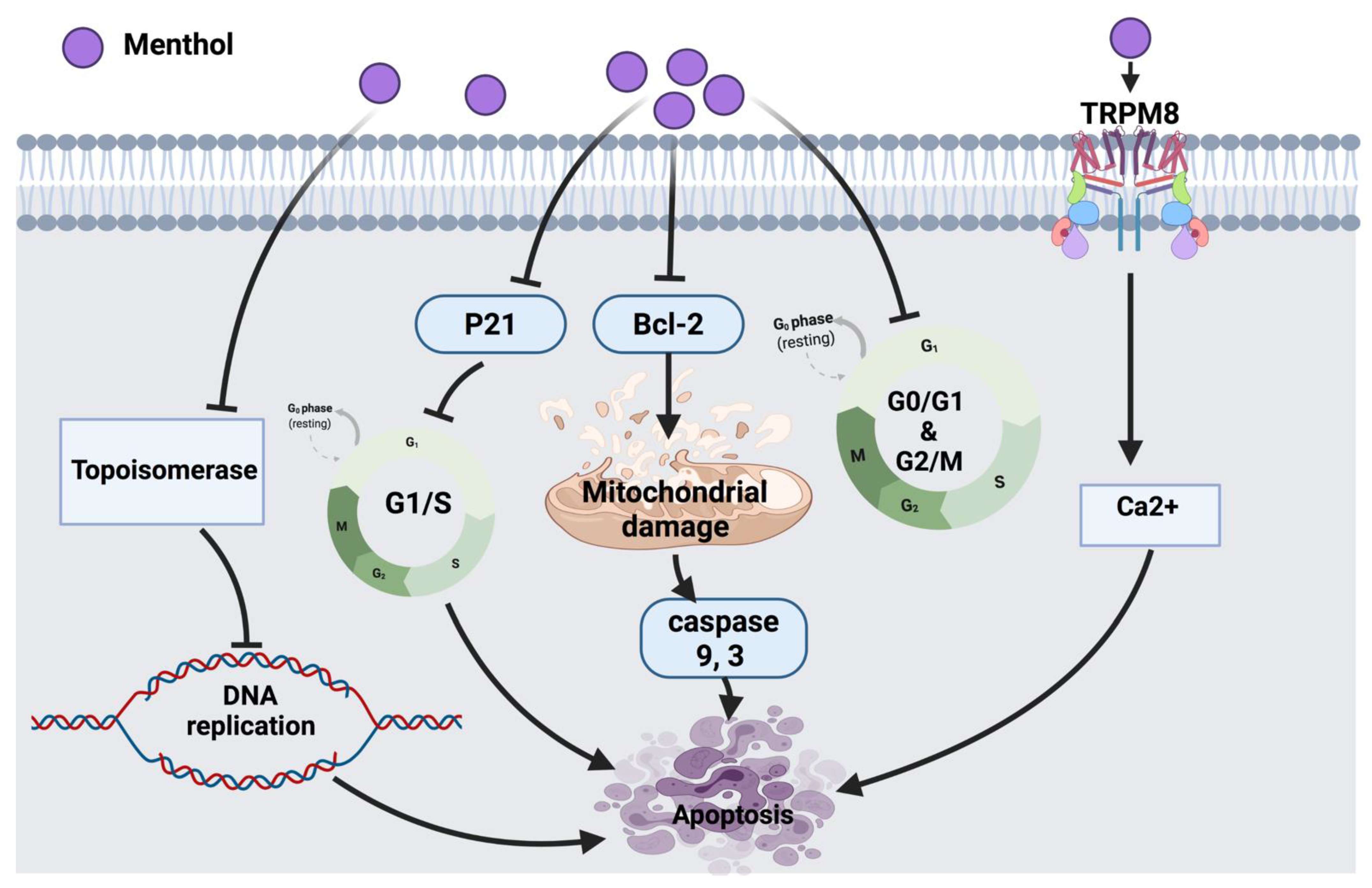 Cancers 14 01100 g002 Cancers 14 01100 g002