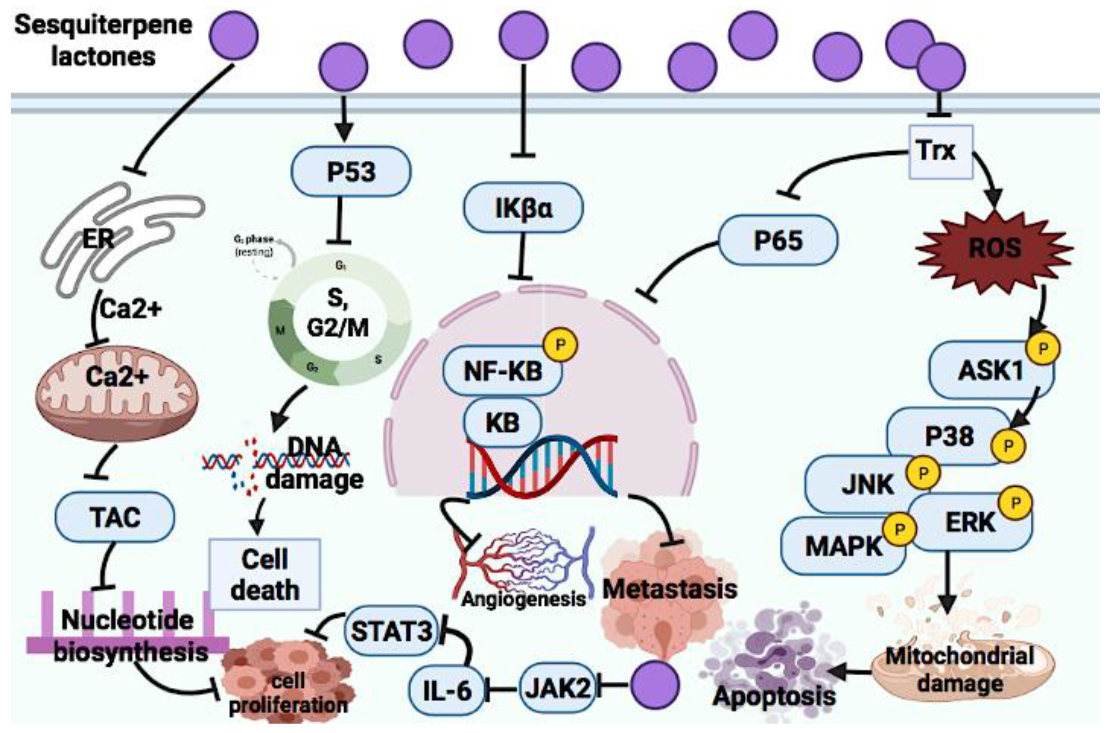 Cancers 14 01100 g007 Cancers 14 01100 g007