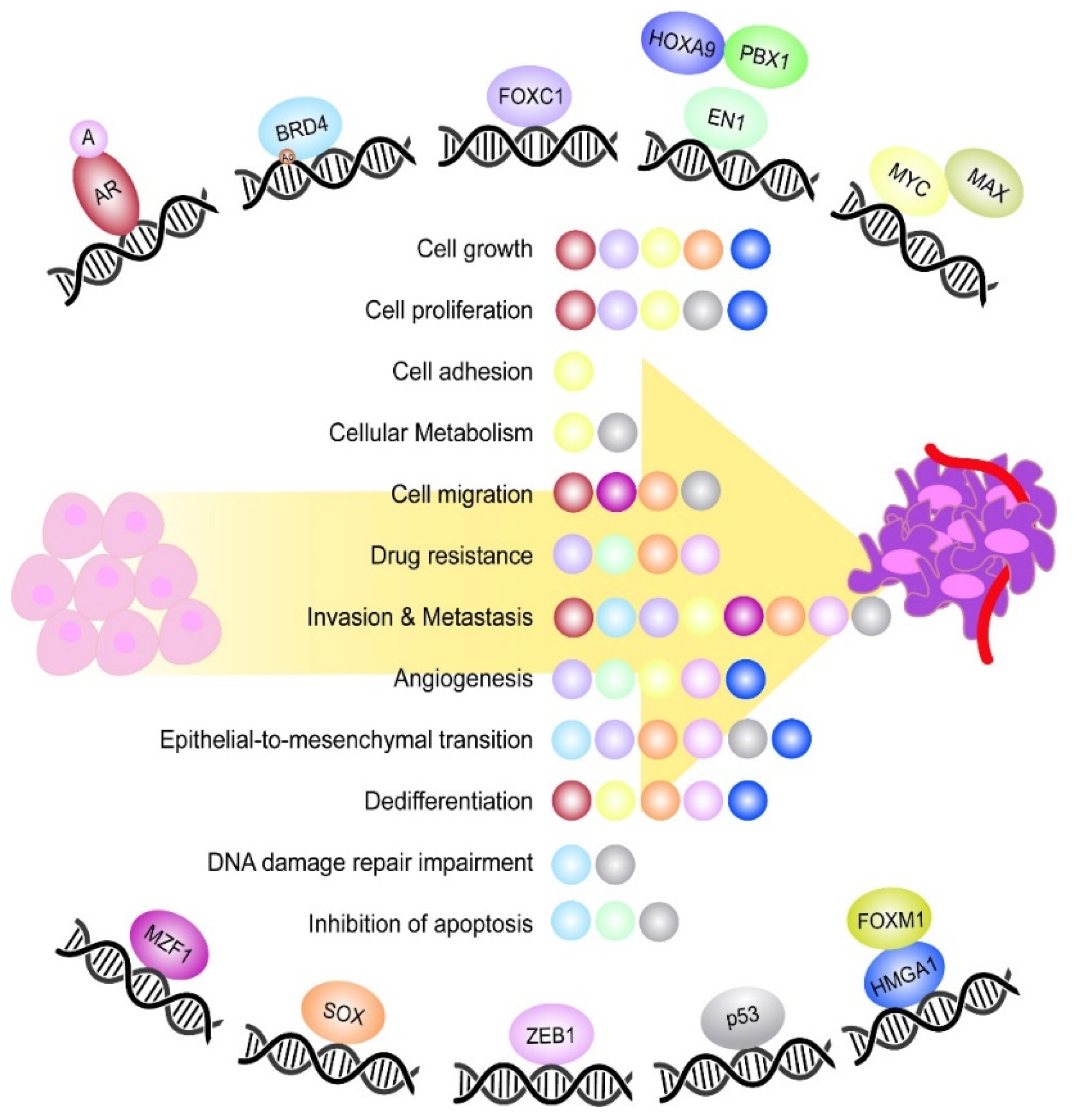 Cancers 14 01101 g001 550